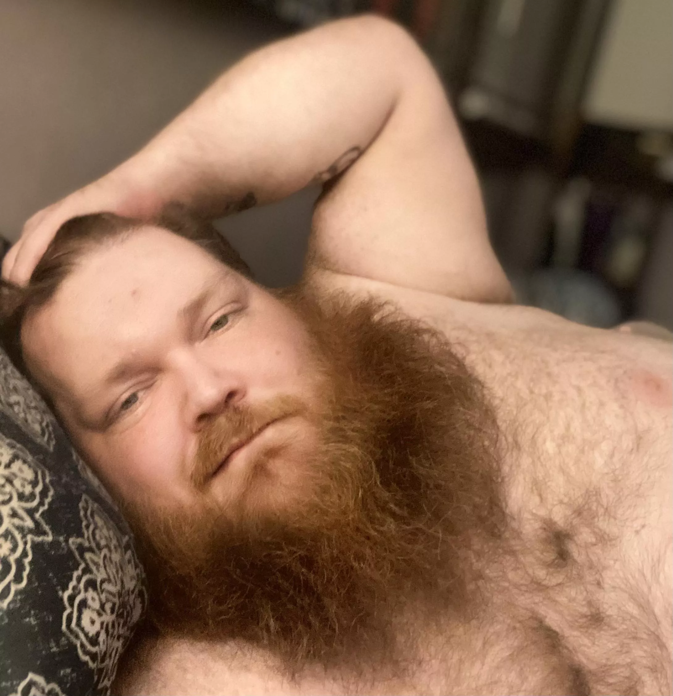 Anyone want to cuddle?? posted by Redbeardeddragon82