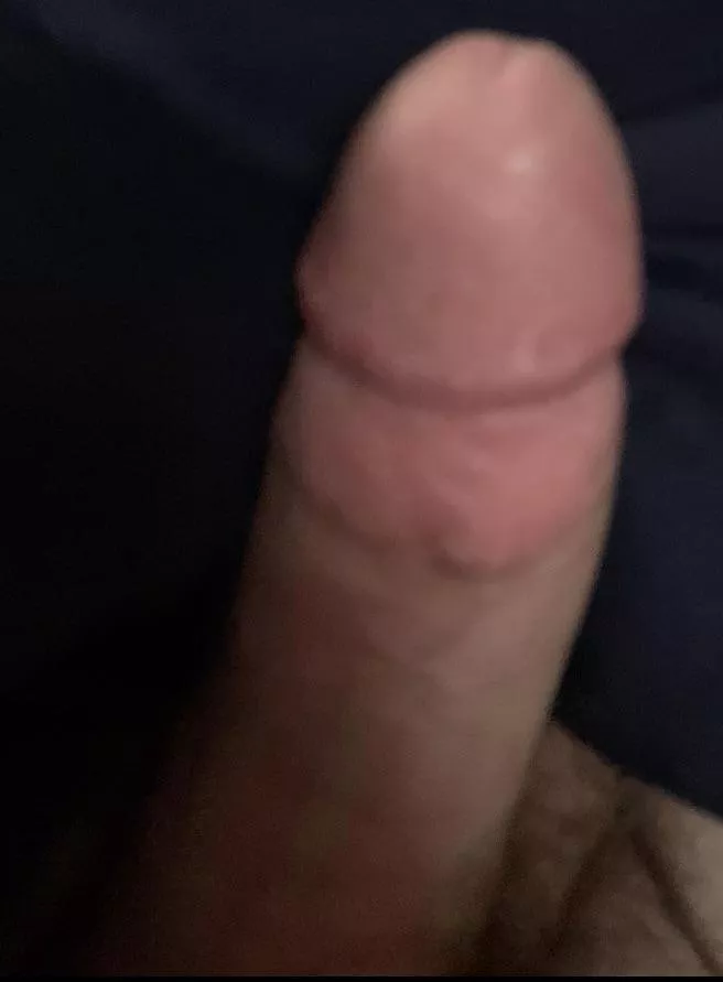 Anyone want to play? Dms open posted by funtime-throwaway1