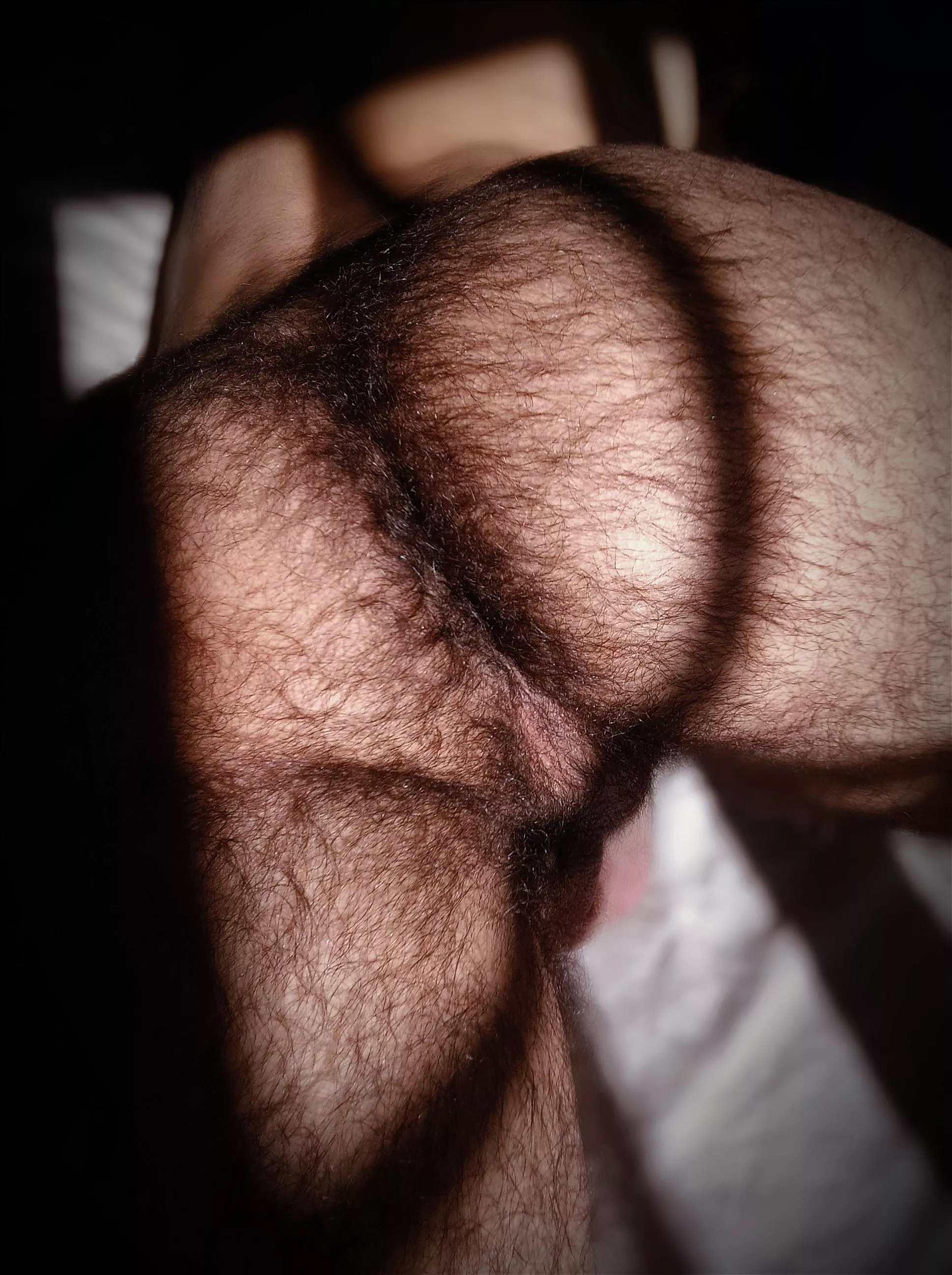 Anyone want to sniff it? posted by Tymsee