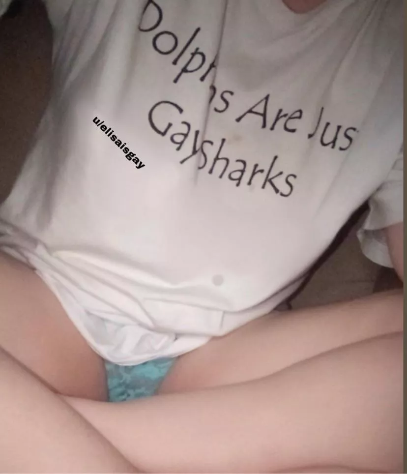 are dolphins just gay sharks? posted by elisaisgay