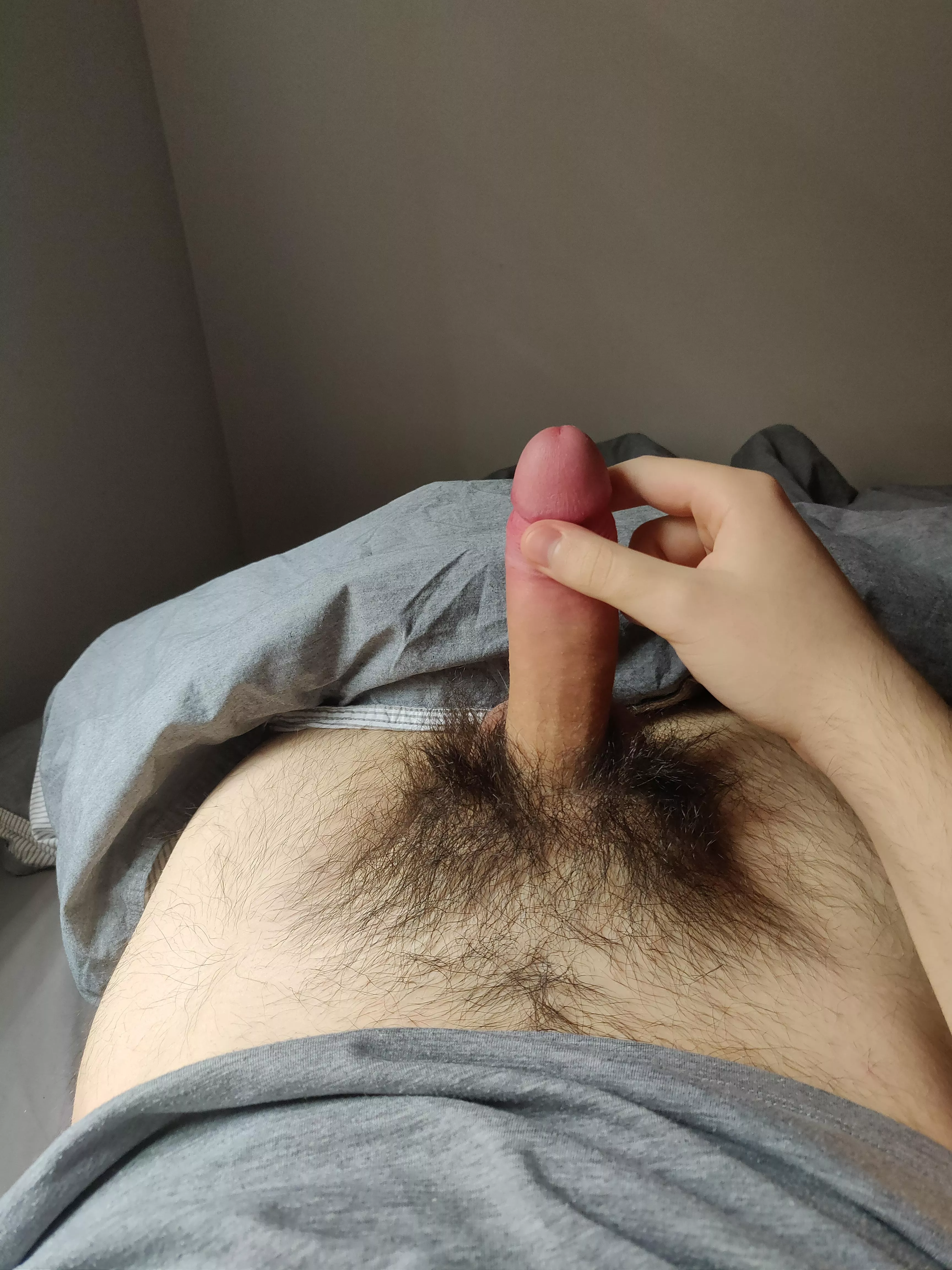 Are my pubes moderate or heavy do you think? posted by 22andChubby