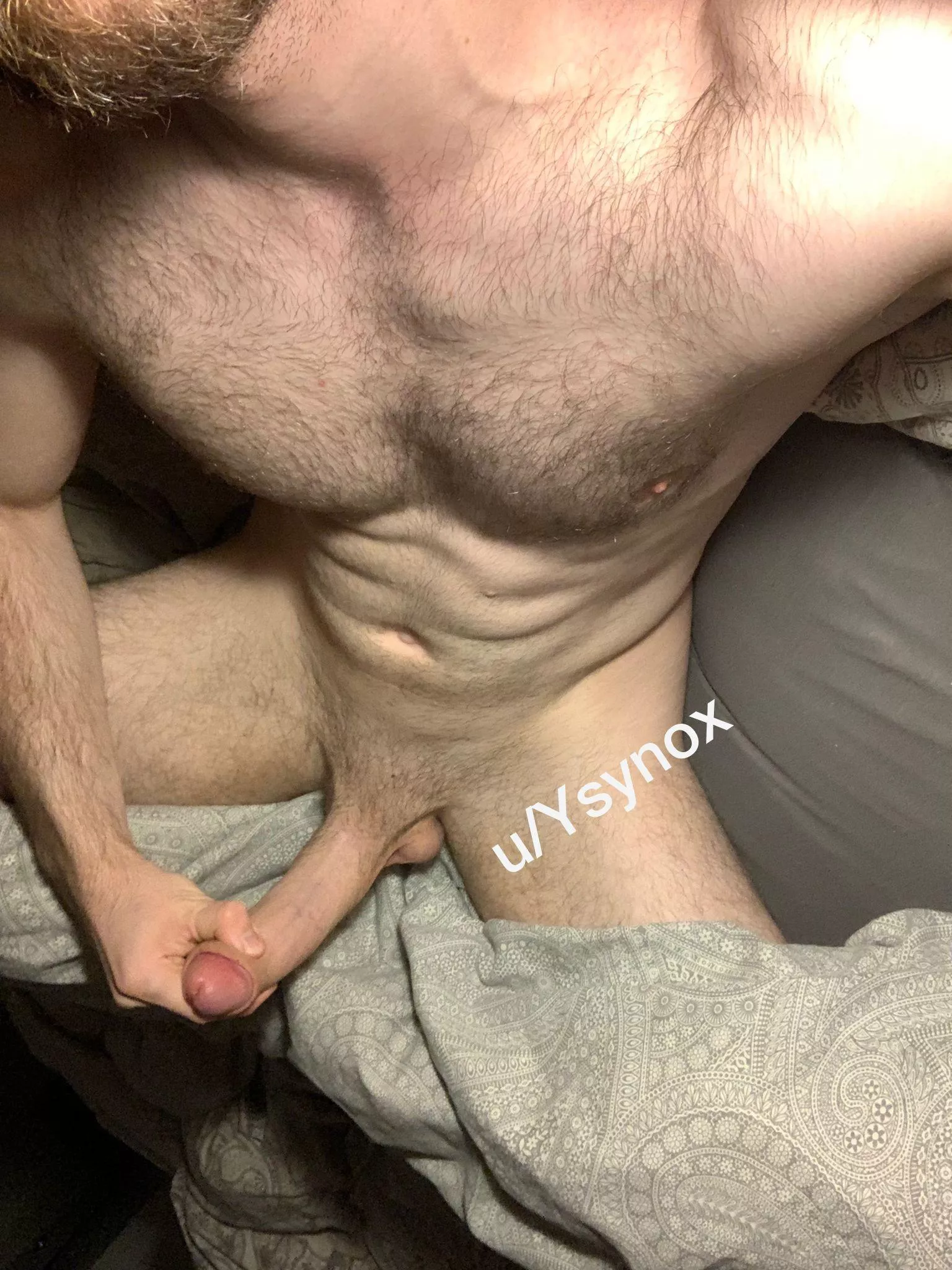 Are you into hung blonde guys?🇩🇪🇳🇴 posted by Ysynox