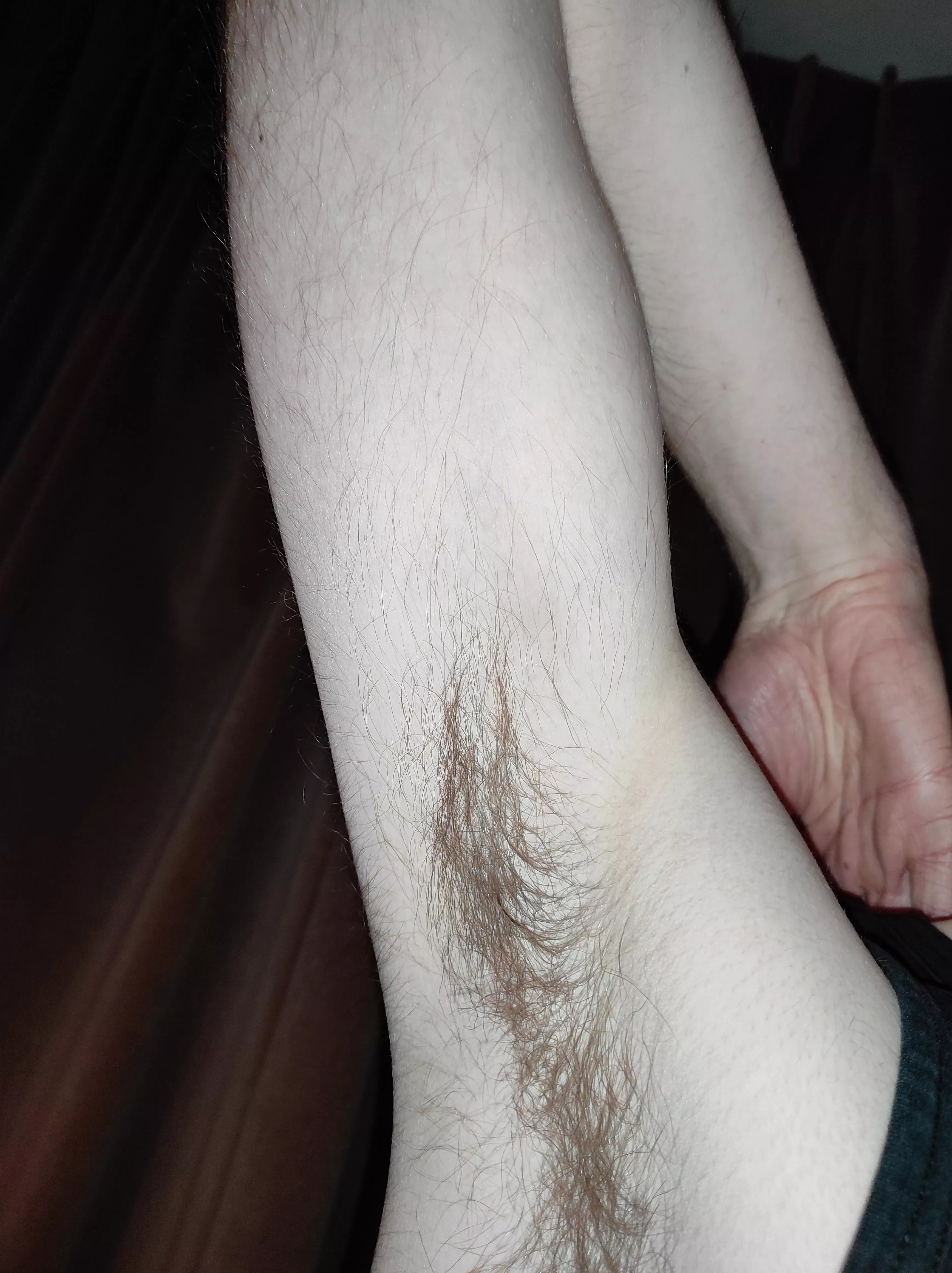 Back from my holiday break, and I plan to keep posting my hairy armpits! posted by TheMoonSwimmer