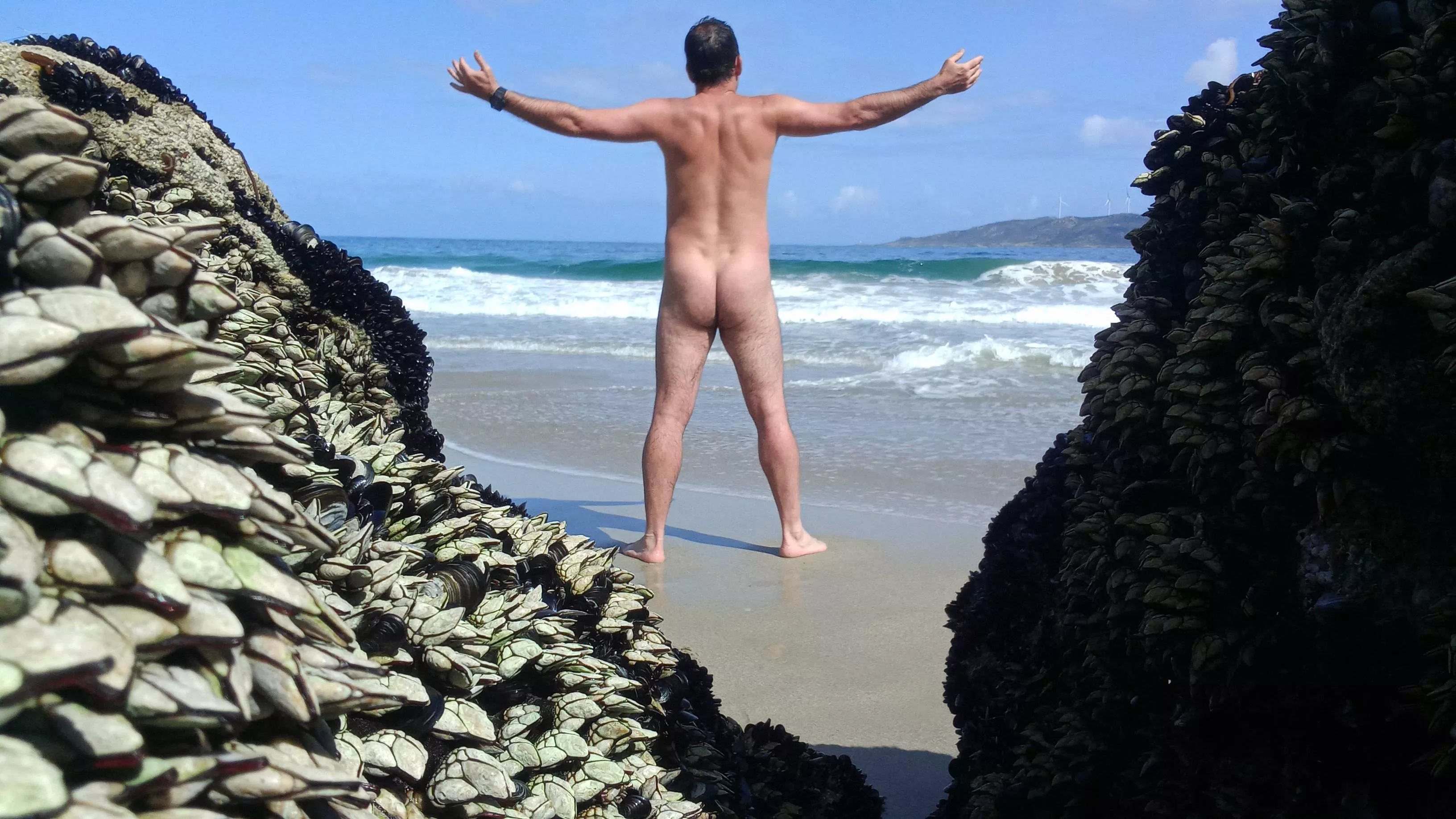 Barnacles are a perfect photo frame 😉 posted by nakedbodyworld