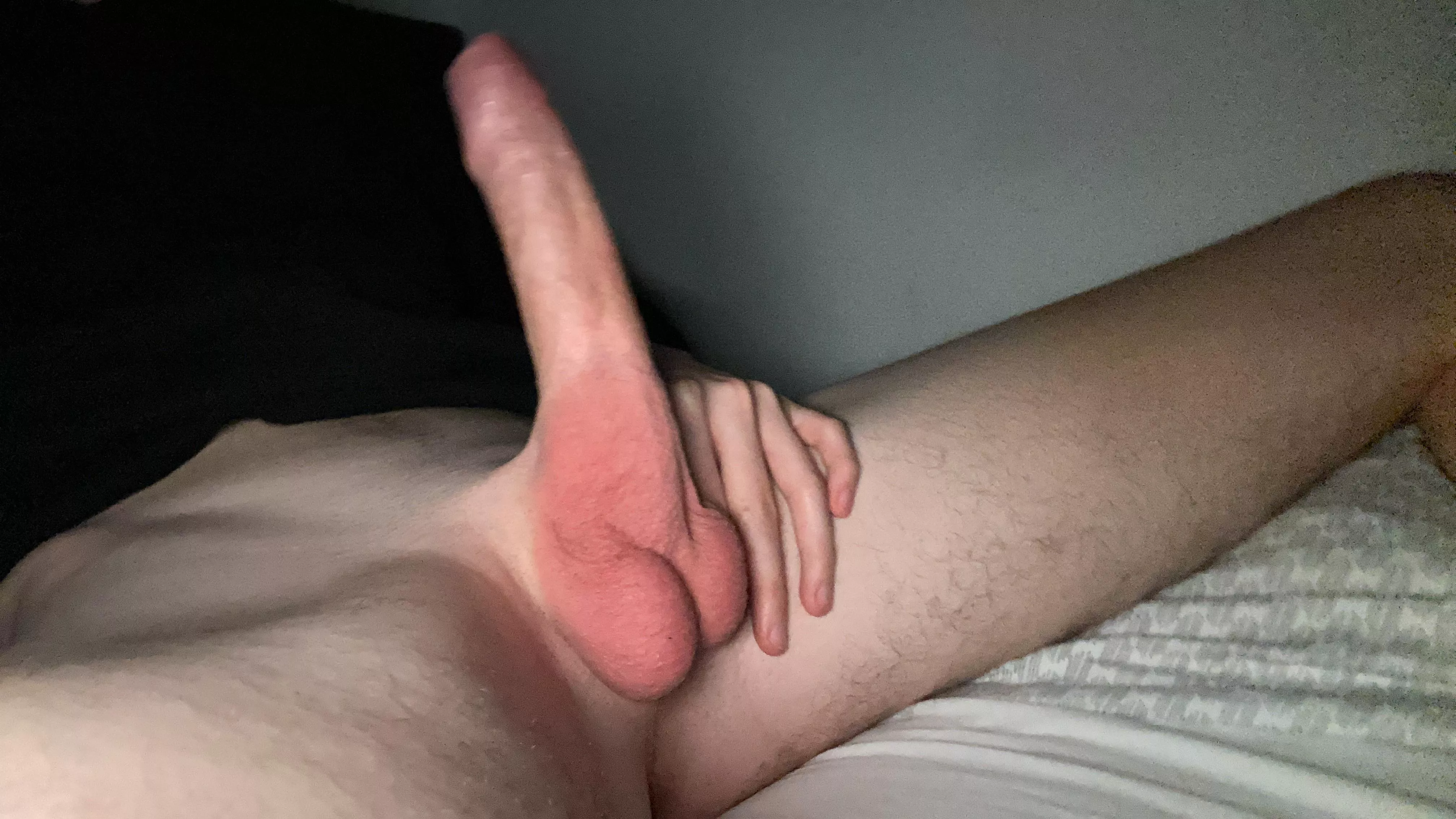 Be honest do I have a nice dick? posted by SamDavids113