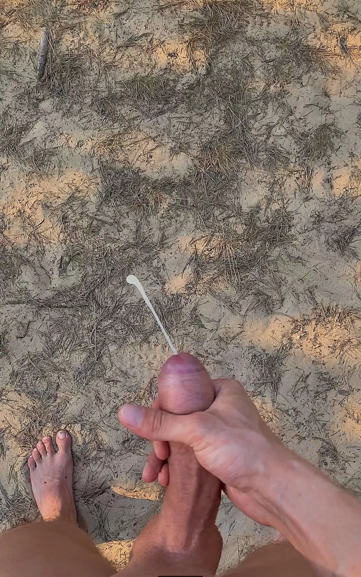 Beach day for me it is🍆💦 posted by Seth_Stone1992