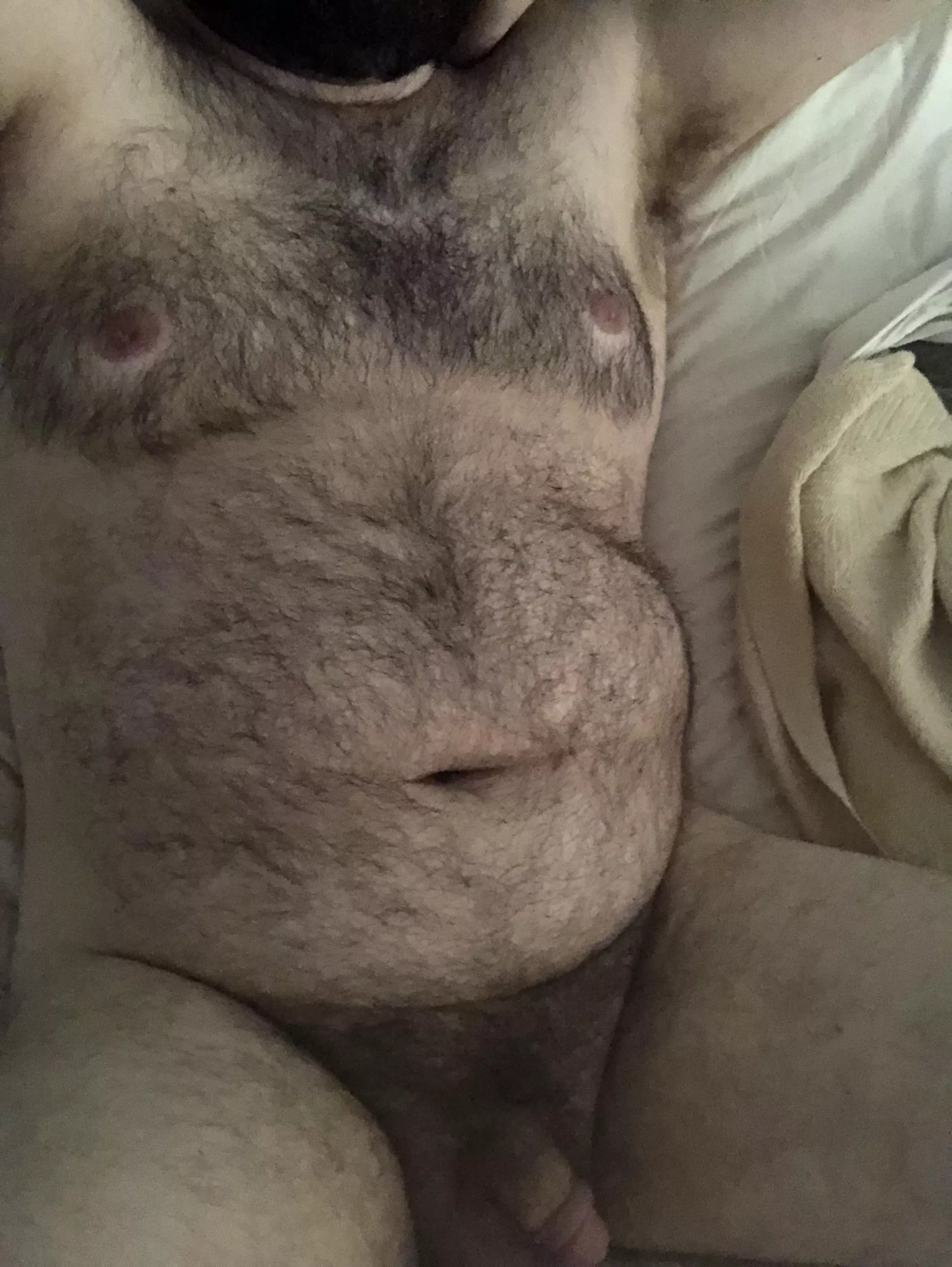 Bear cuddles, anyone? posted by ChunkeyMonkey69