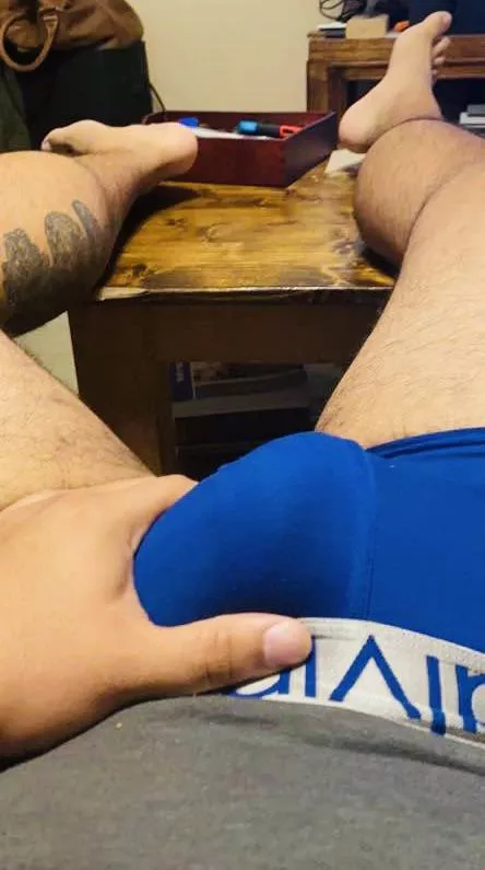 Bear legs and underwear for ya posted by Lucky_Brutus