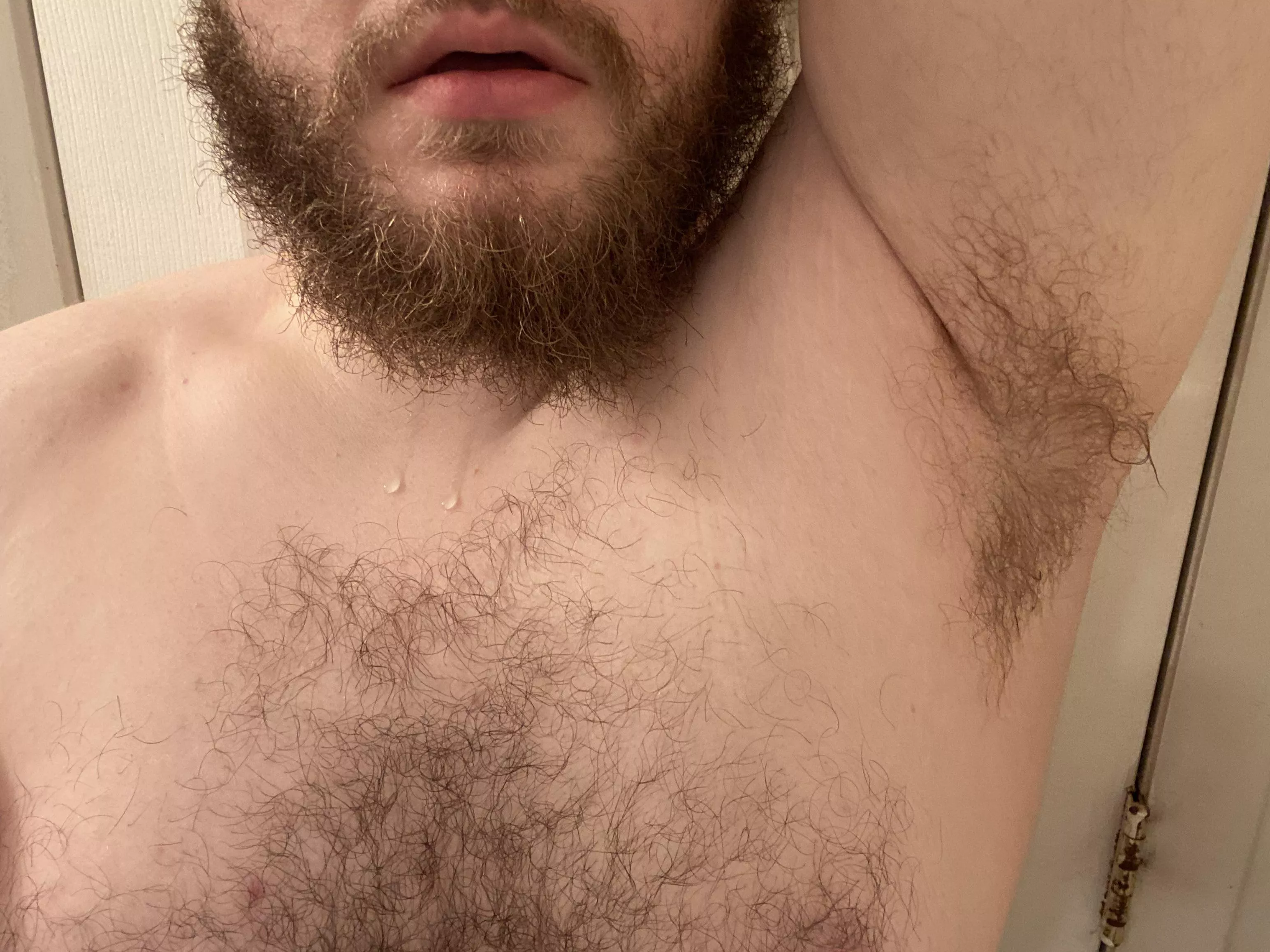 Beard, pit, and chest hair ðŸ˜œ posted by Bearamones