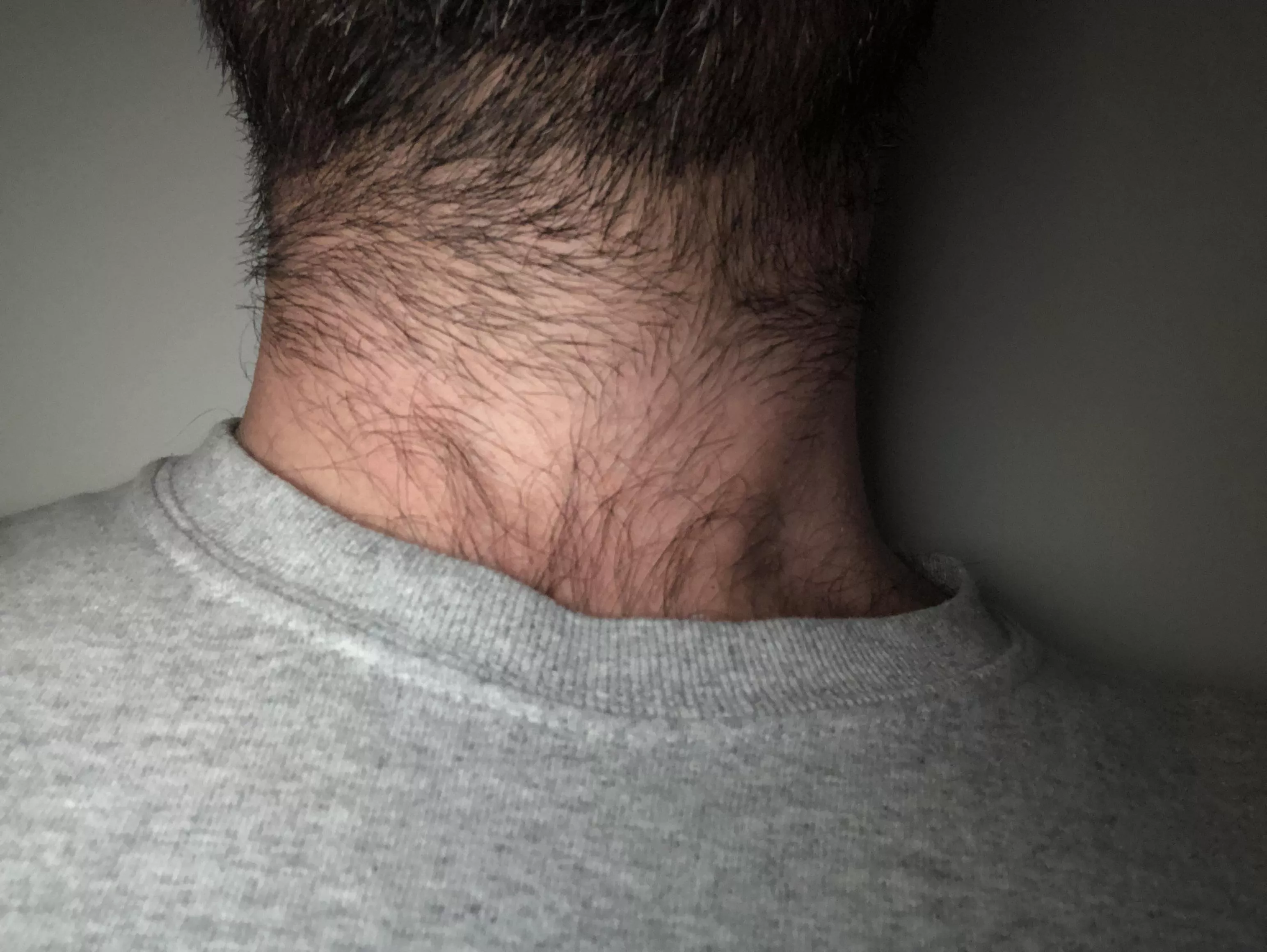 Beard-Chest Hair Connection Almost Complete posted by TraditionalHomework7