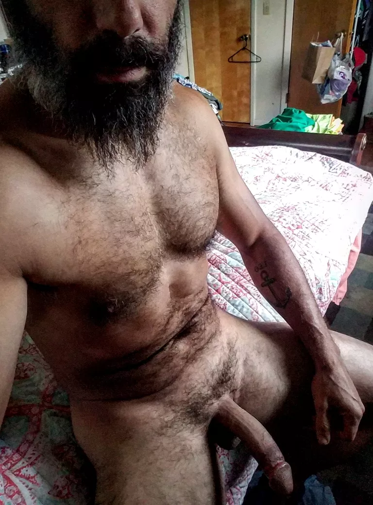 Bearded, hairy and hung 42[m] posted by Libertine_GreyWolf