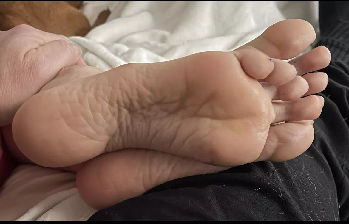 Beautiful morning soles posted by Jwad6219