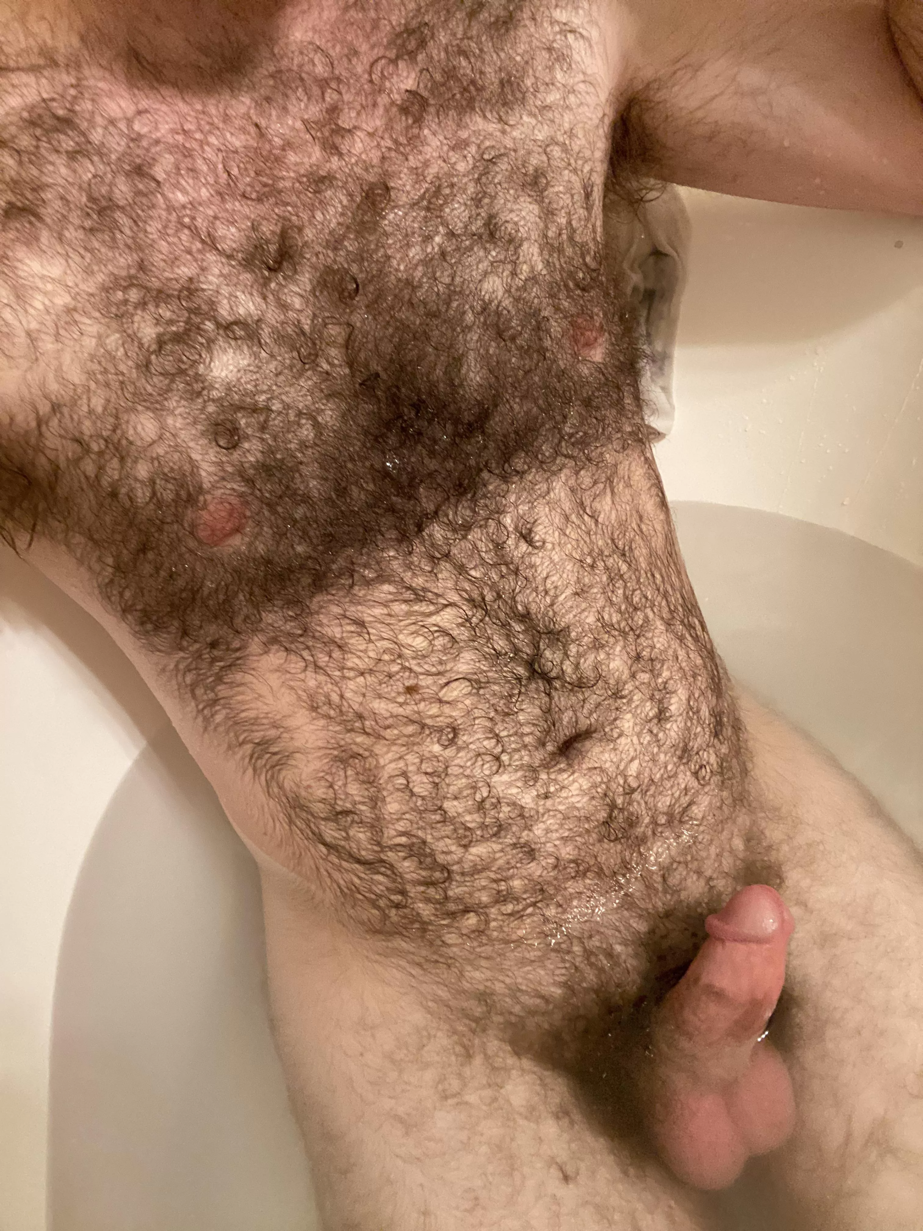 Been growing the fur out posted by gay-throwaway-