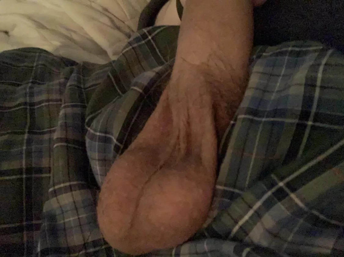 been horny all day 😈 posted by stnrdoggo420