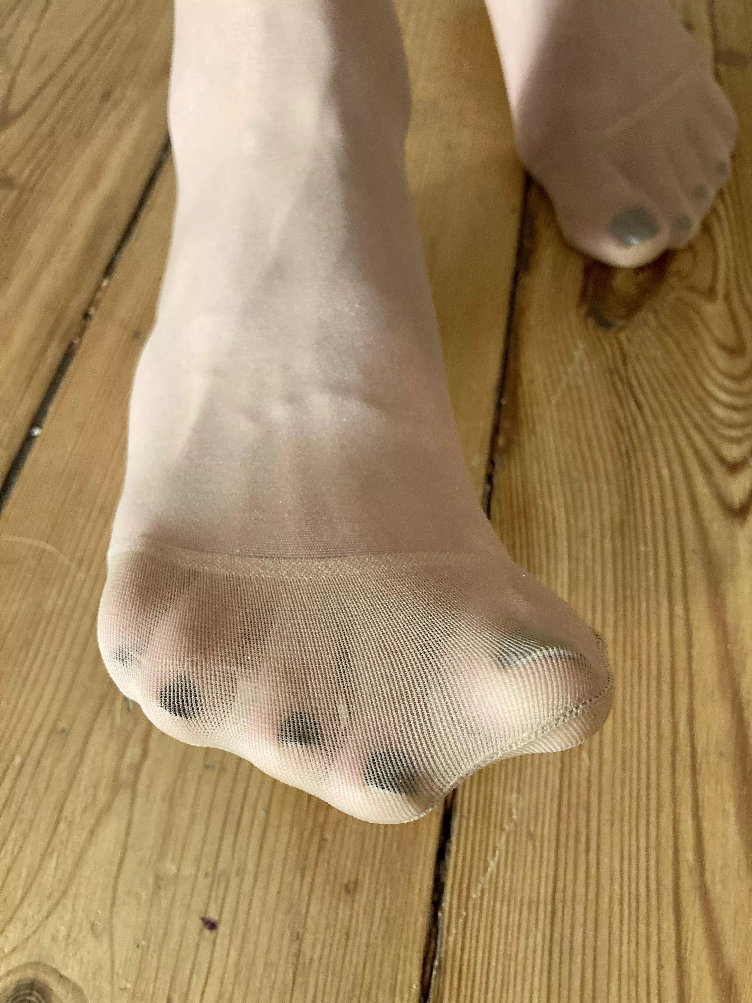 Beg me to sniff my precious socks~ posted by Mistressaris