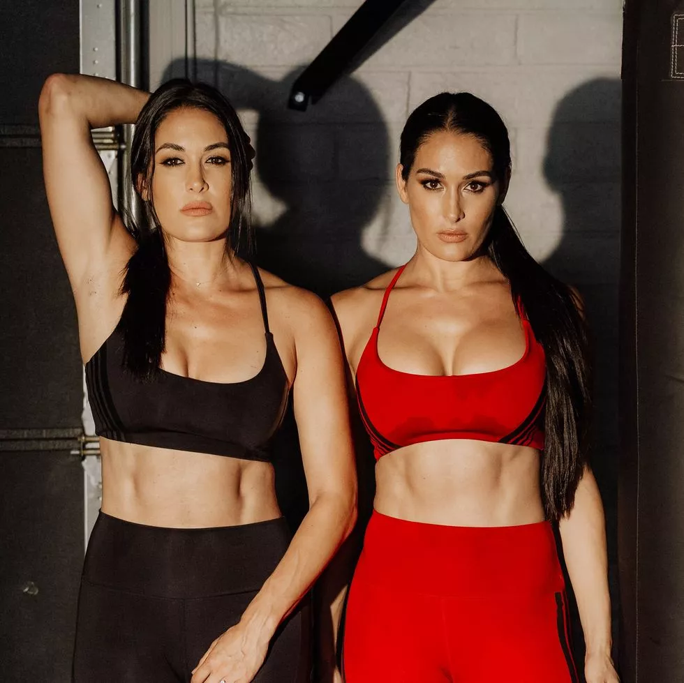 Bella Twins posted by rizla07