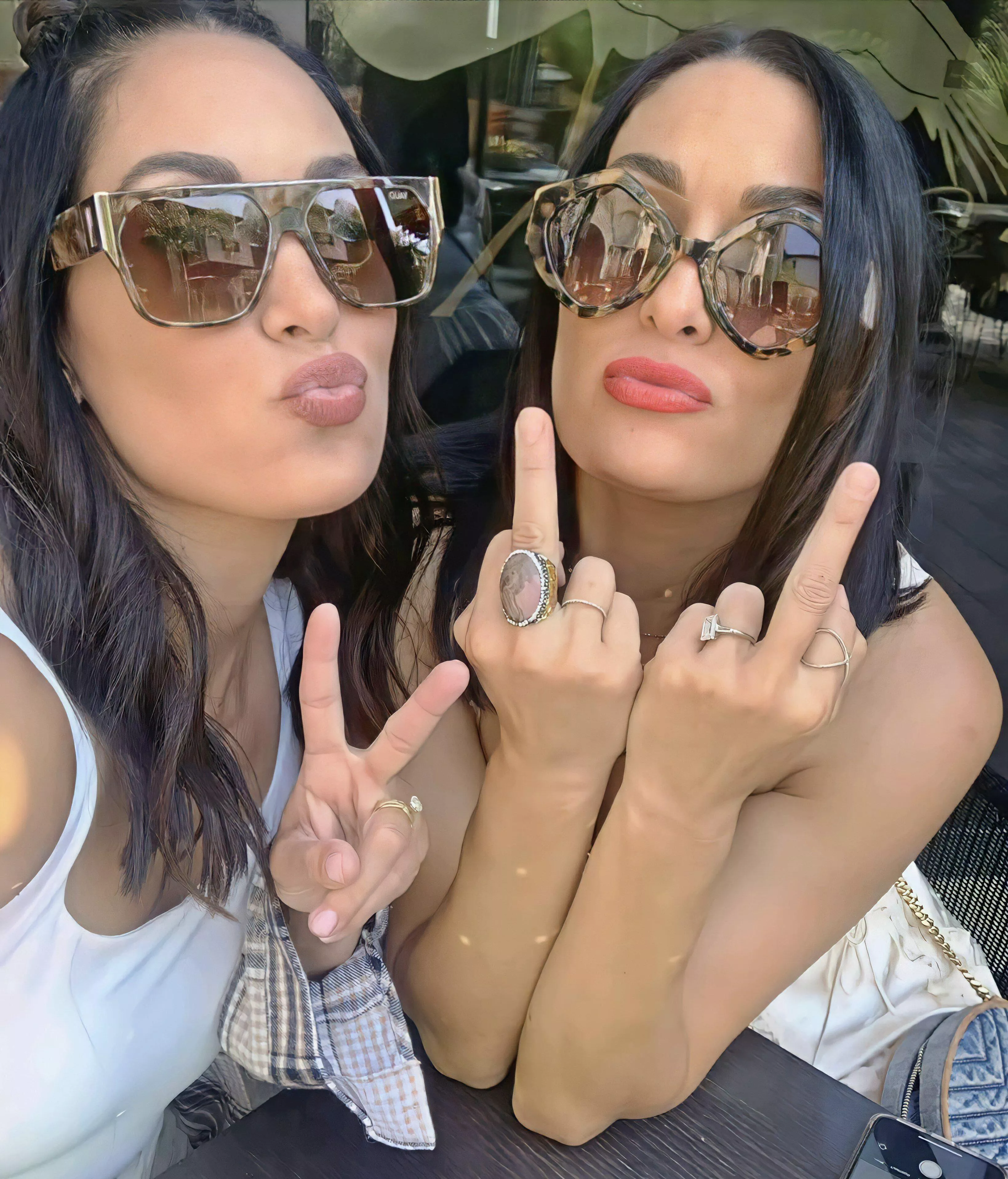 Bella Twins posted by MileyWolfman