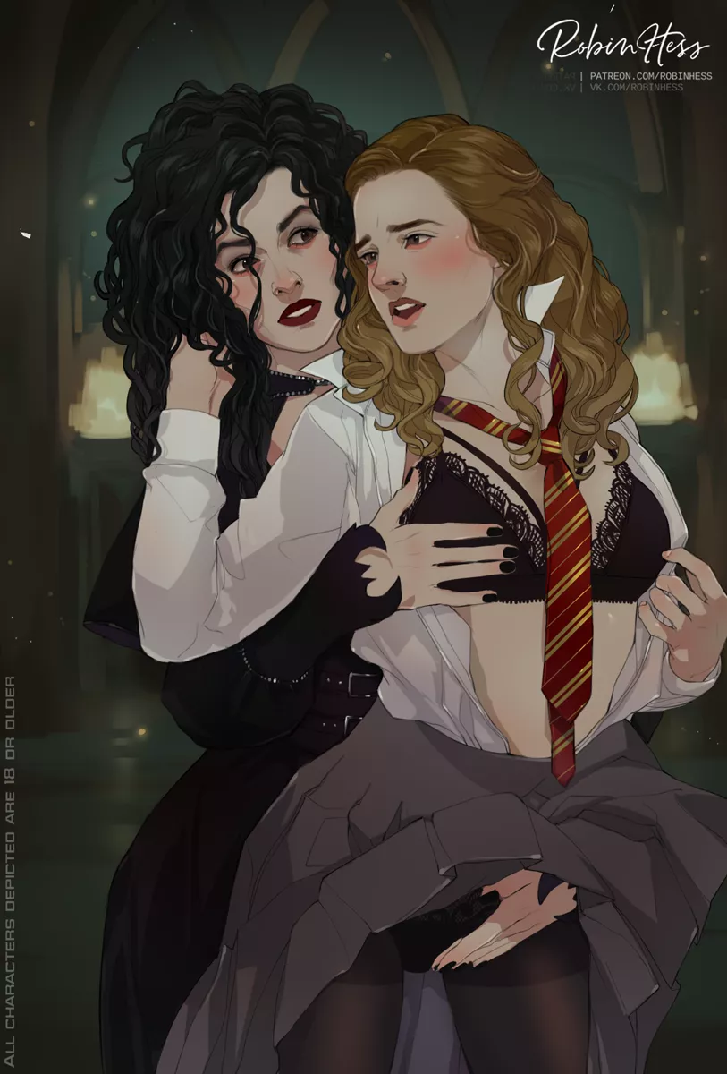 Bellatrix and Hermione posted by [deleted]