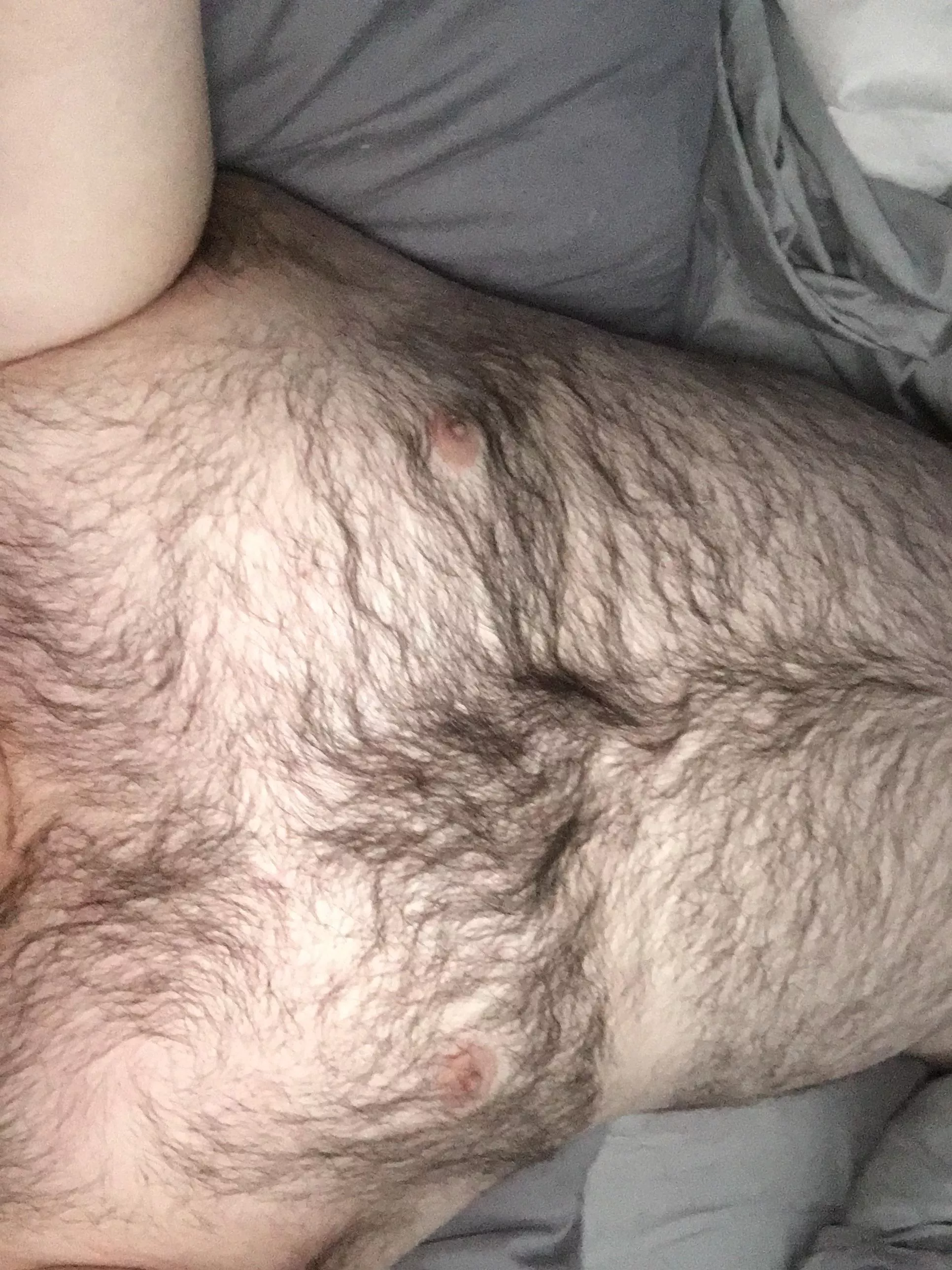 Big, hairy and cuddly posted by 7throwawaynsfw7