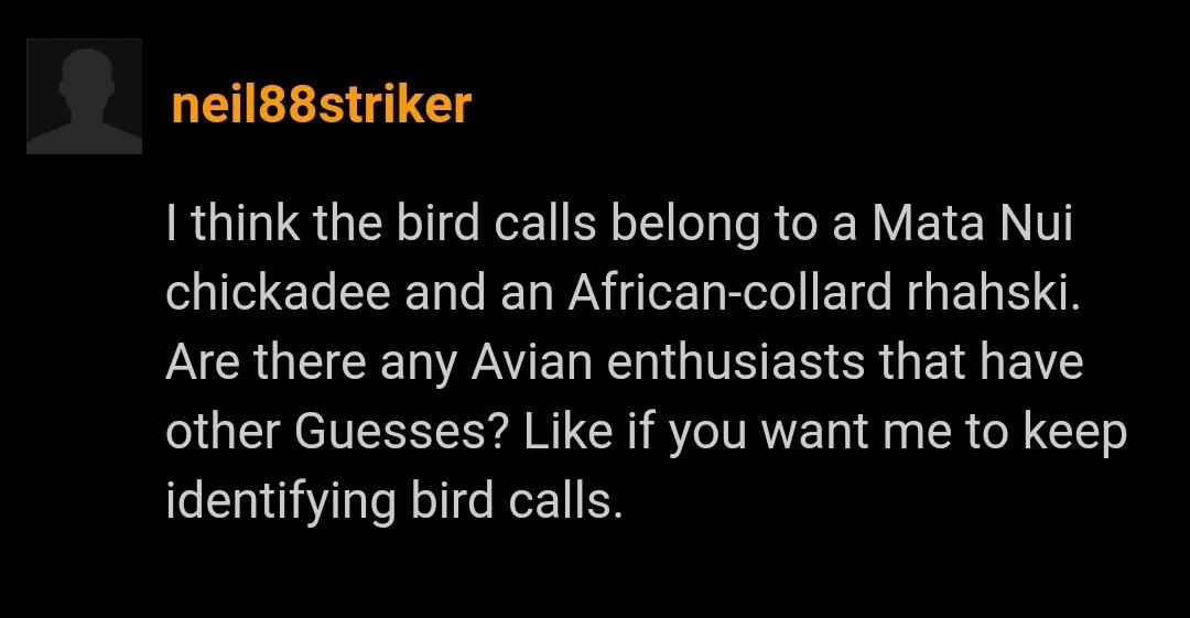 Bird Watcher posted by Truered11JC