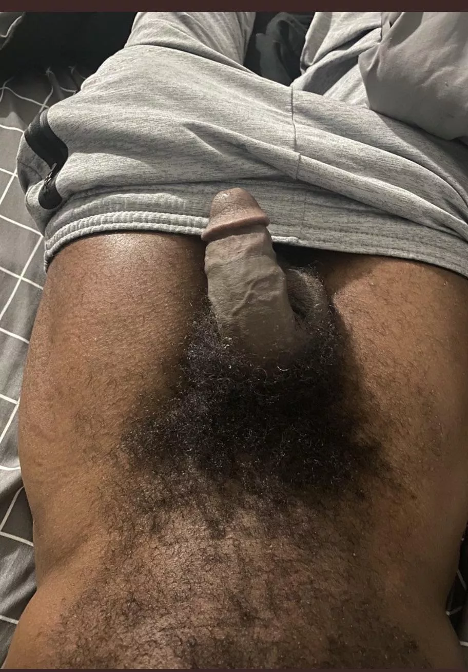 Black pubes posted by Kindly_Language8601