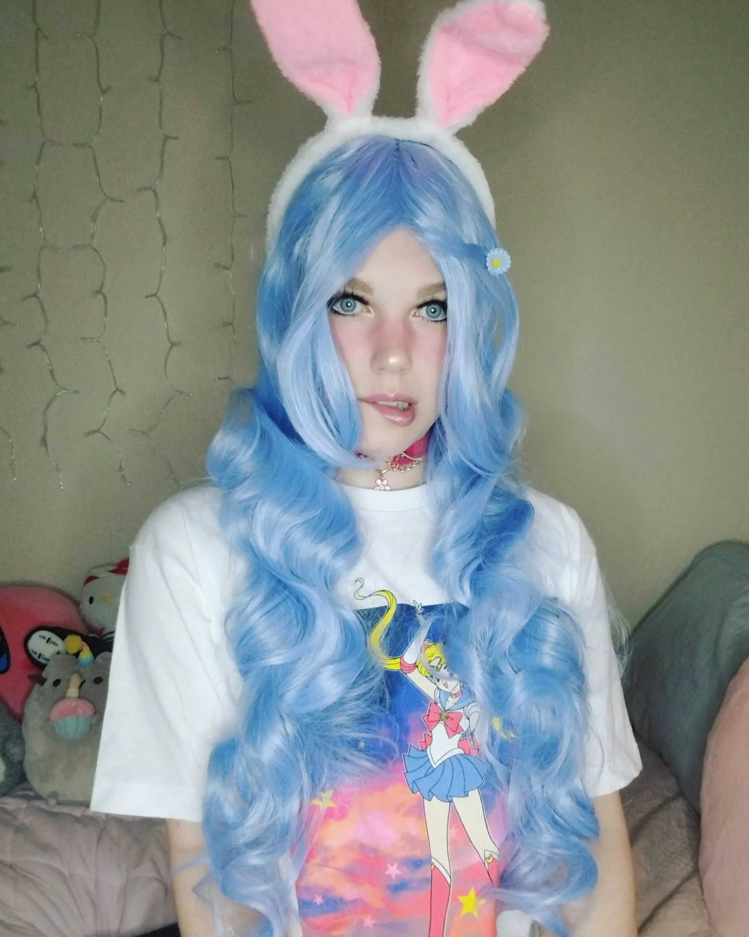 Blue bunny (not the ice cream) posted by BlossomBunnyTV