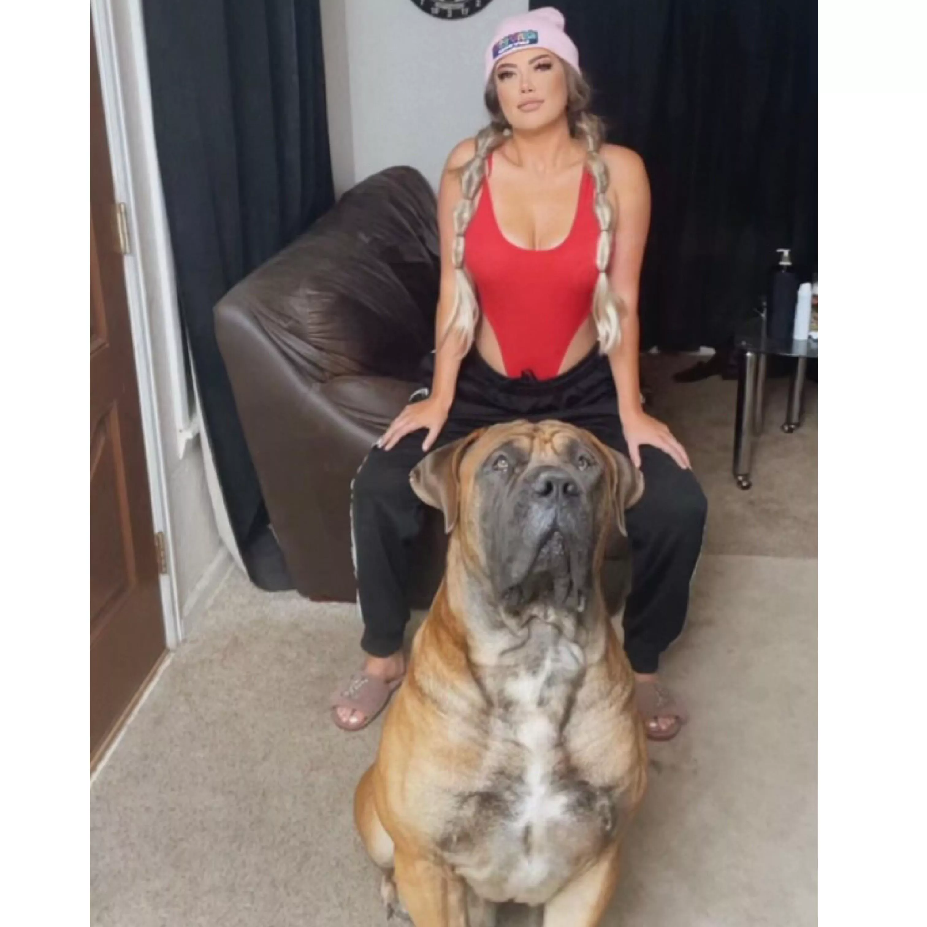 Bodysuit and a boerboel. Happy Friday y’all! posted by Chelsealee6969