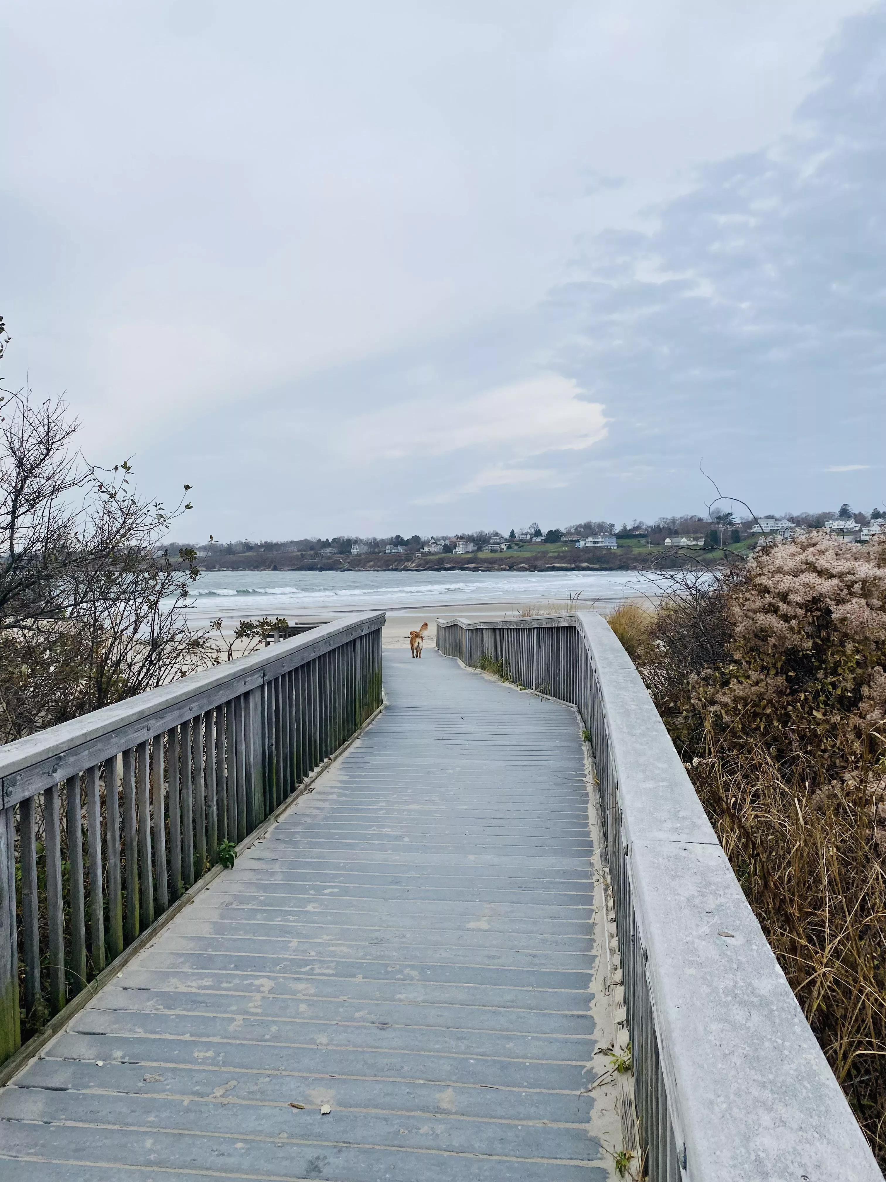 bonnet shores, rhode island posted by Meepsam