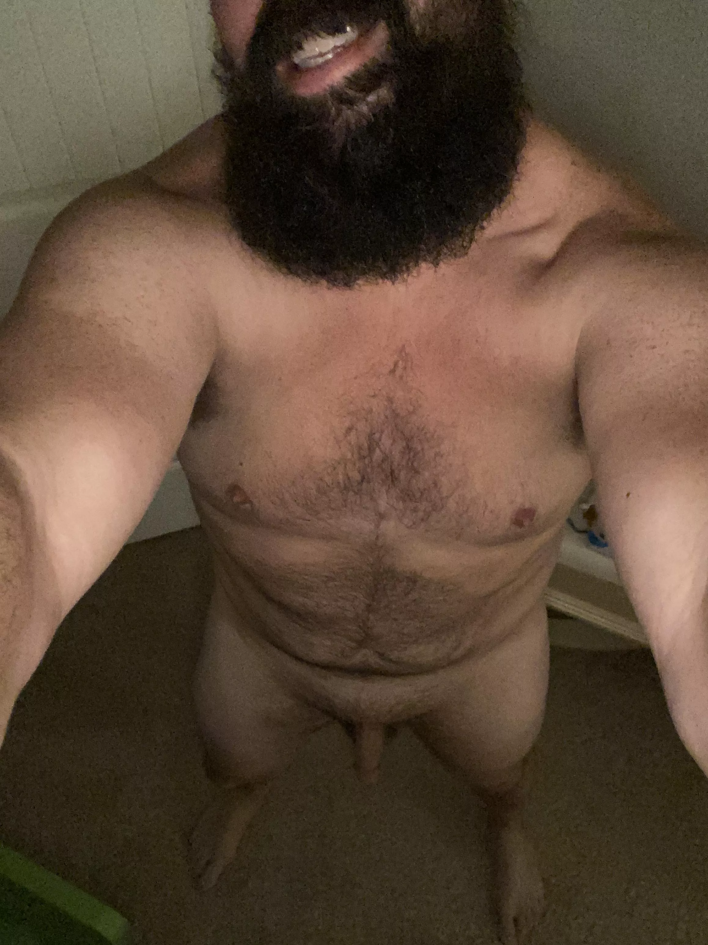 Bored and looking for friends! posted by beardeddaddy444