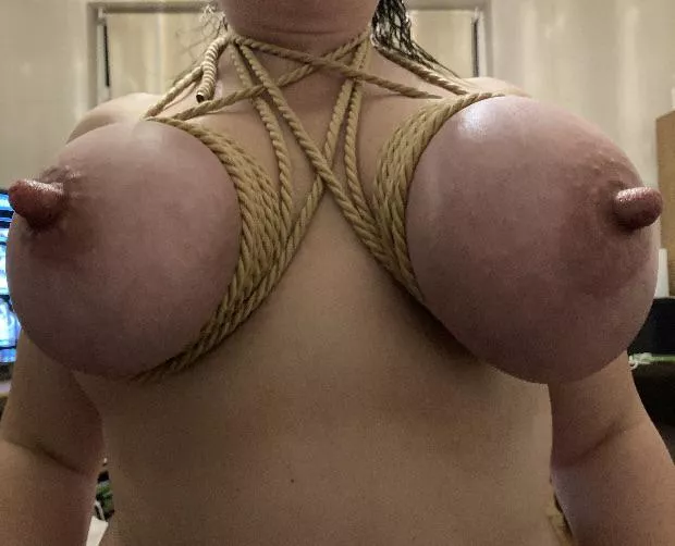 Bound [F] cup tits with nipple suction posted by Swansea42