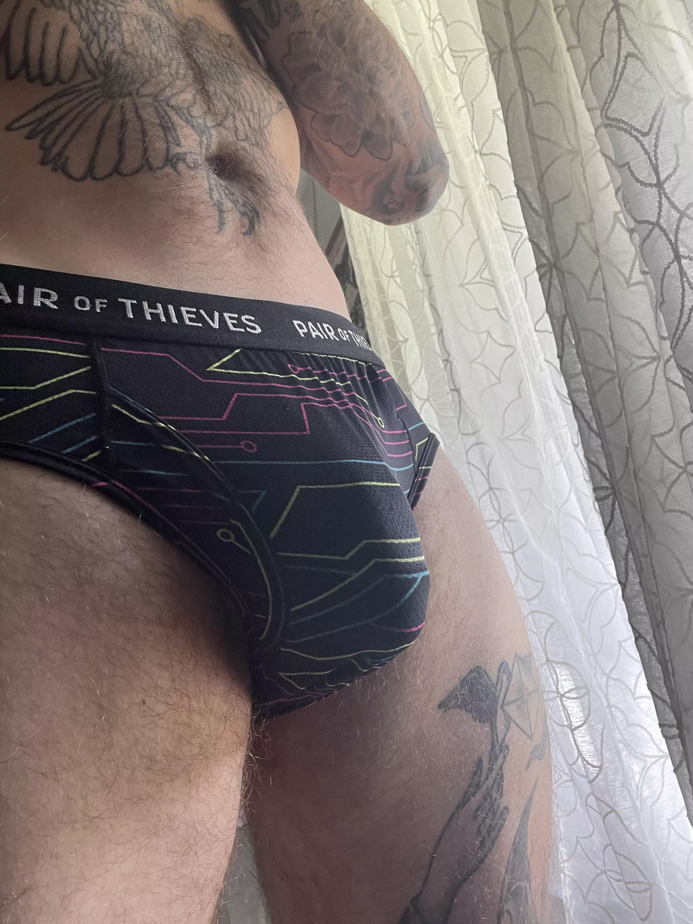 Briefs today posted by shiawasi