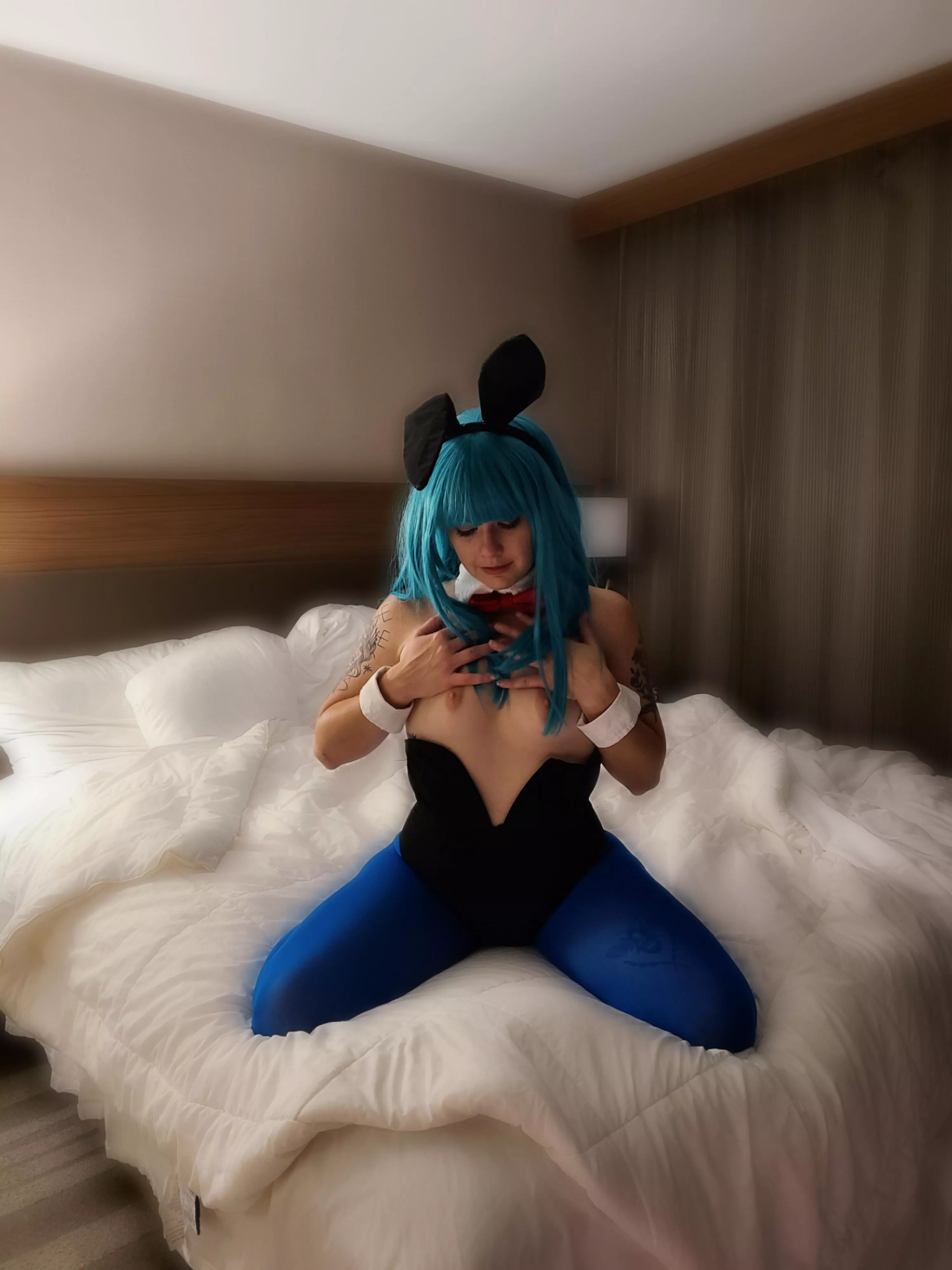 Bulma bunny ðŸ–¤ posted by knottynorse