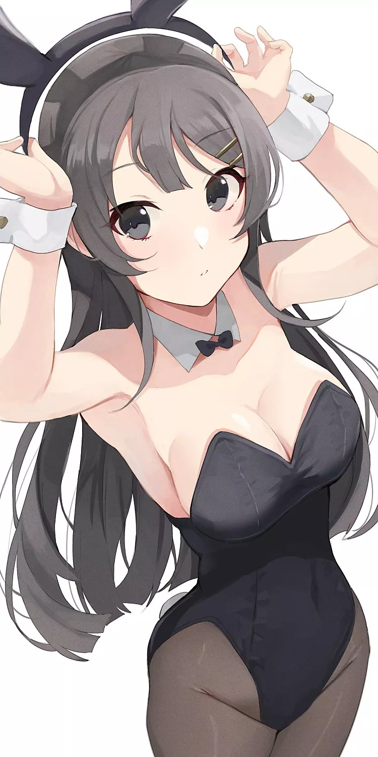 Bunny girl Senpai posted by kmlshblr