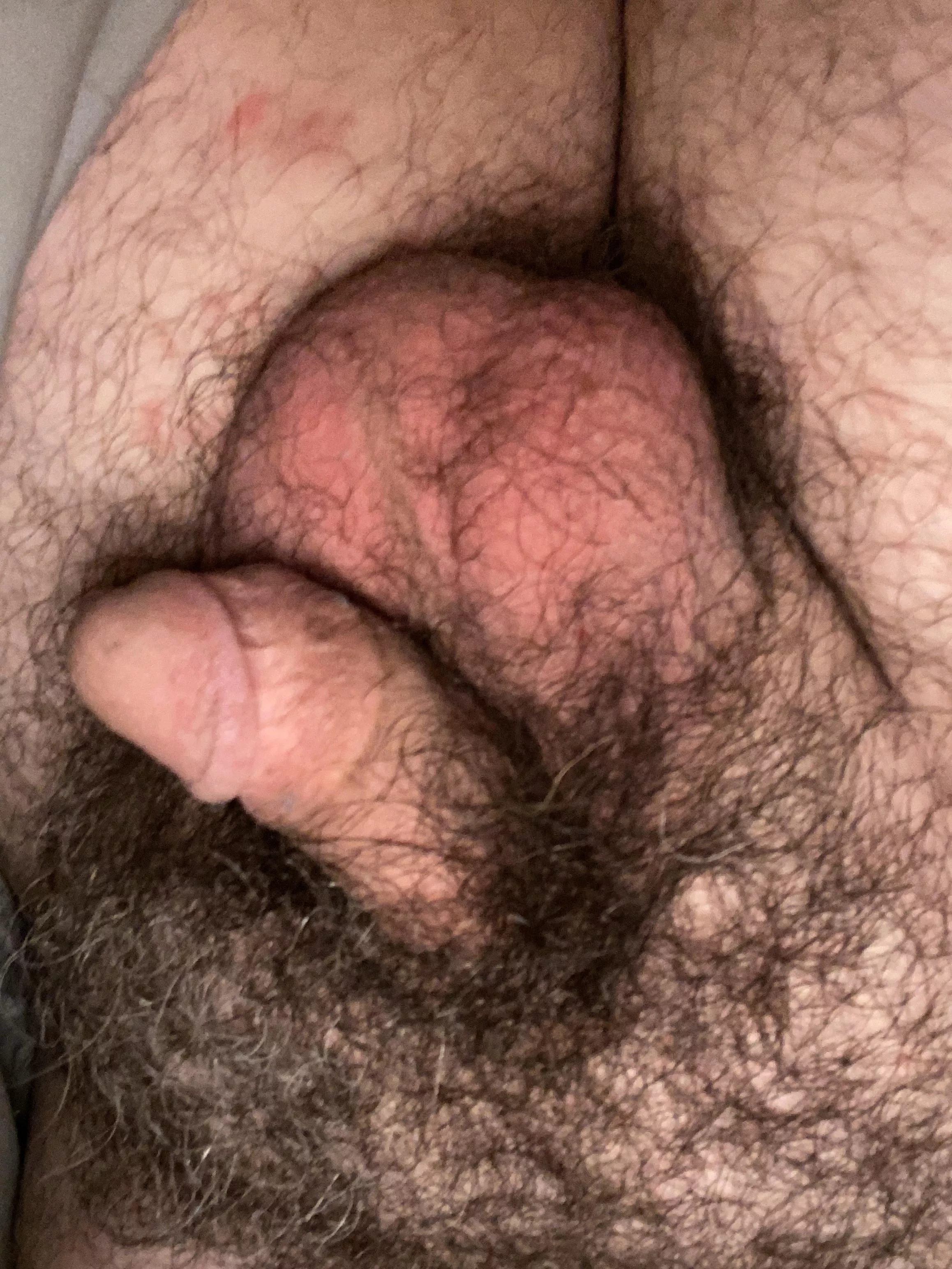 Bury your face in these pubes posted by maskeddannib