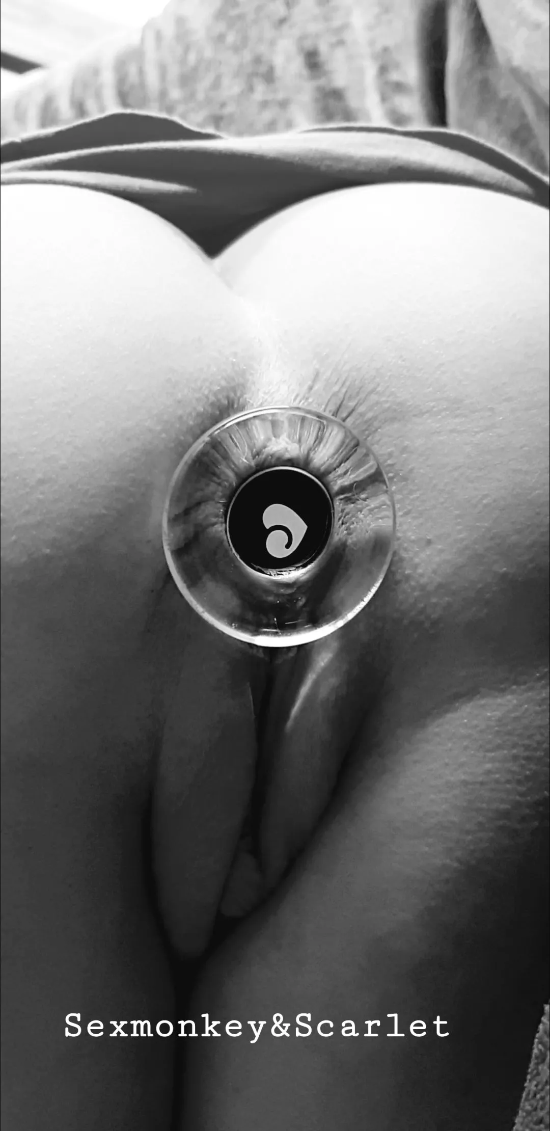 Buttplug from lovehoney posted by SexmonkeyScarlet