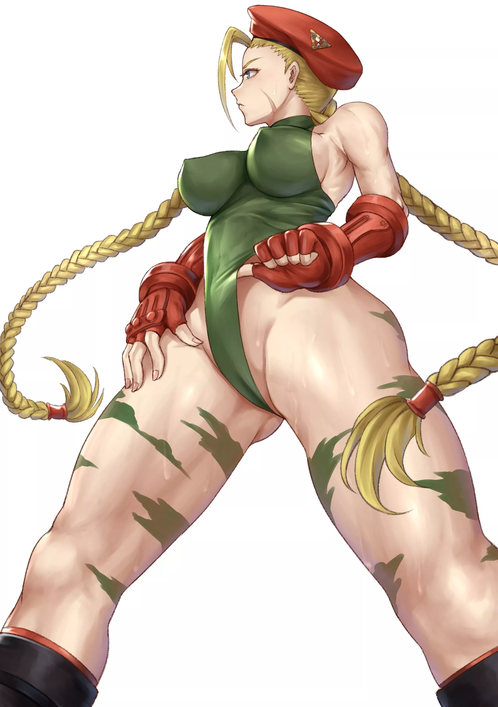 Cammy Leotard Adjustment (Nyatokanyaru) [Street Fighter] posted by sequence_string