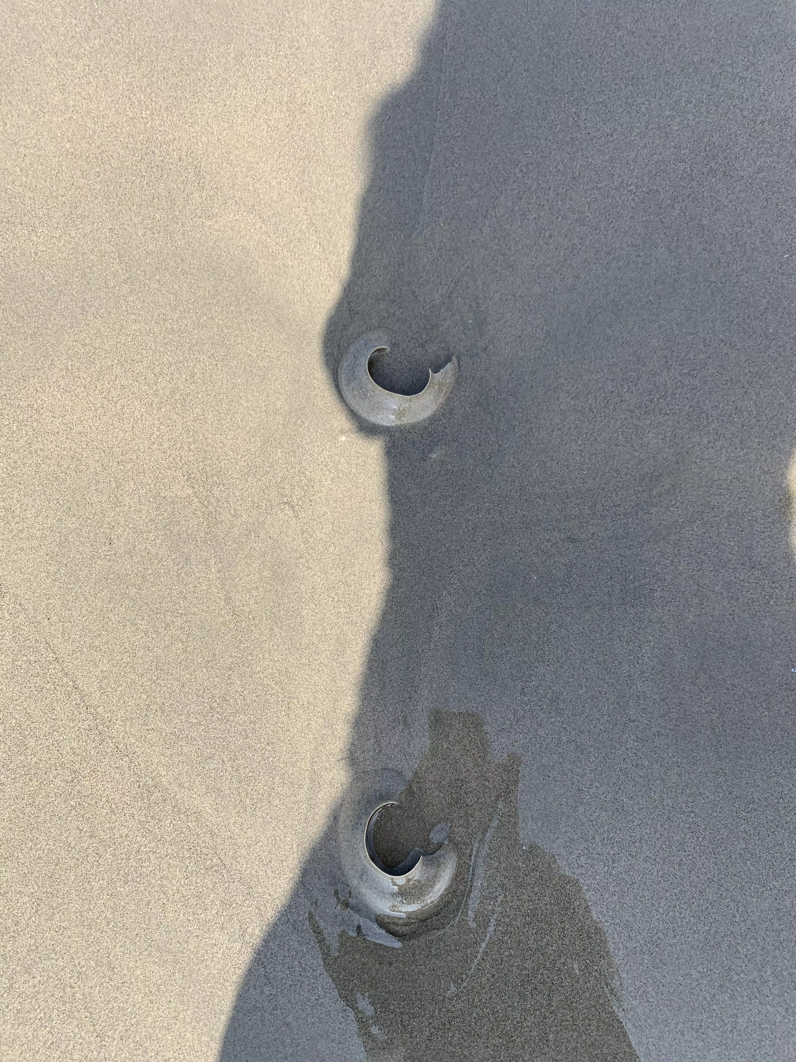 Can anyone ID these? I see them on the beach in numbers every now and then. I saw these last week in Venice Beach. They are clear and rubbery and I wondered if they are jellyfish fish parts? posted by Star_Trek_Junket