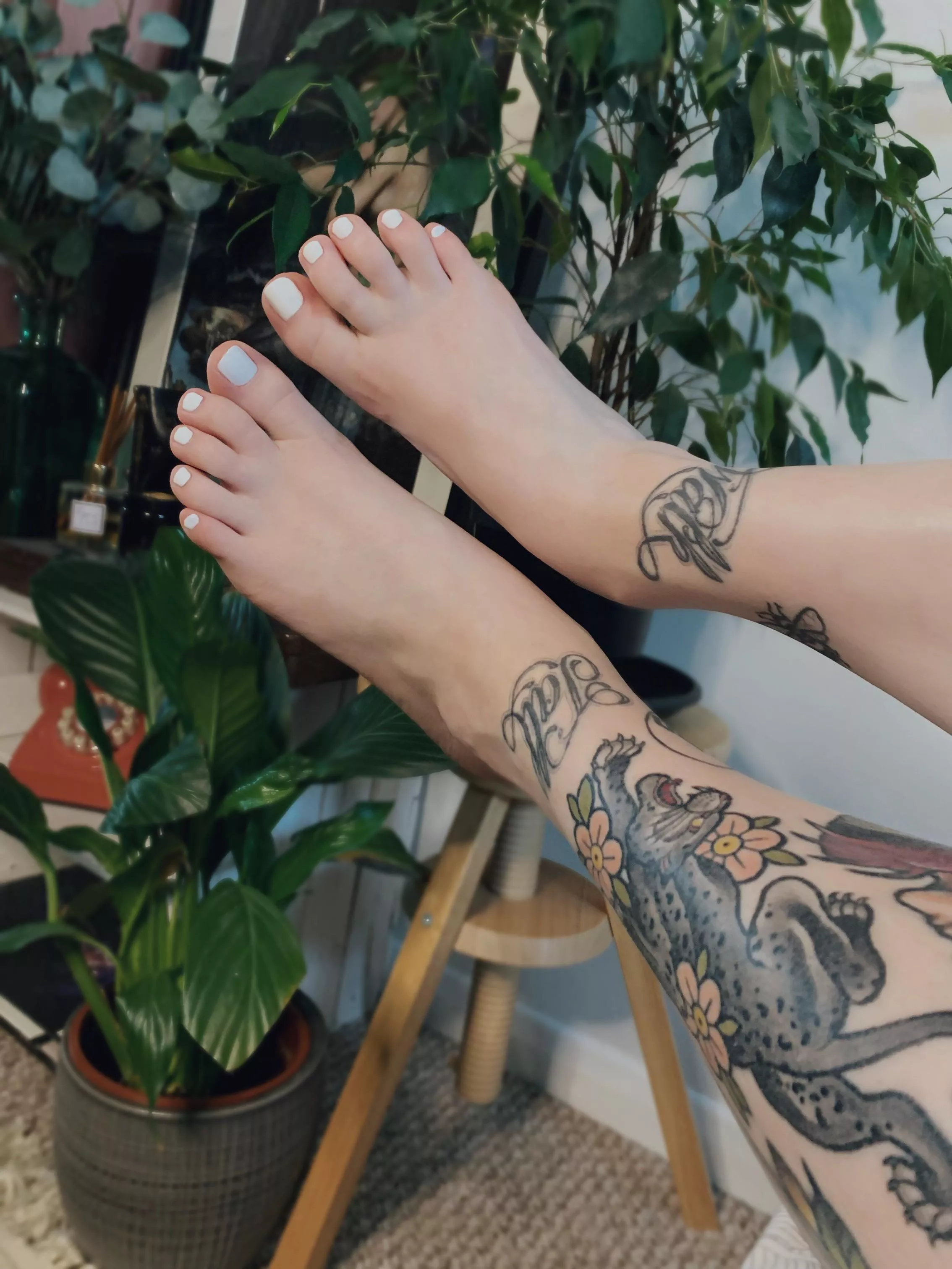 Can someone massage my pretty, white toes please 🥺🤍 posted by Faefeet