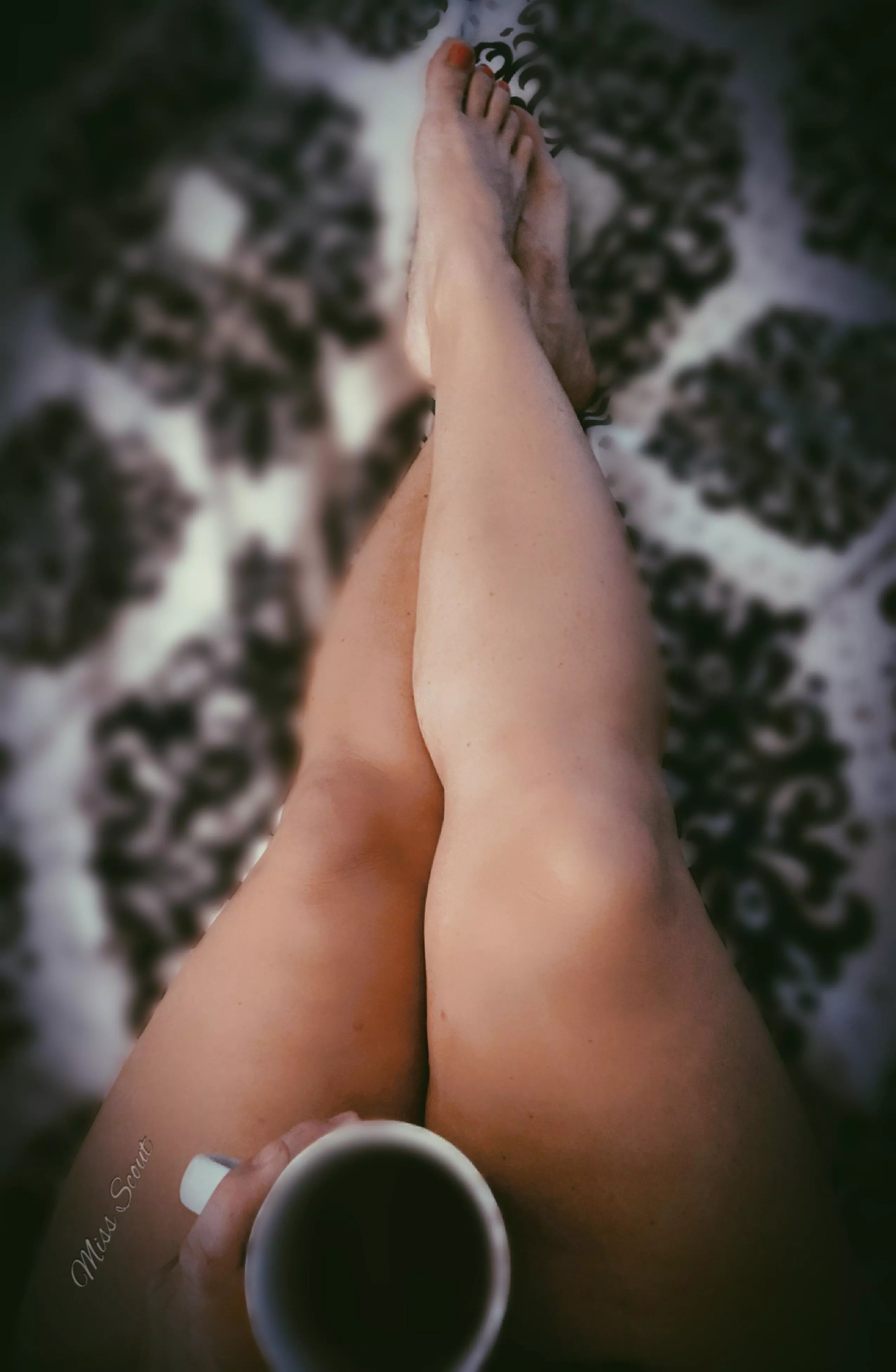 Can we have a No Pants day? (F) posted by scout-2-u