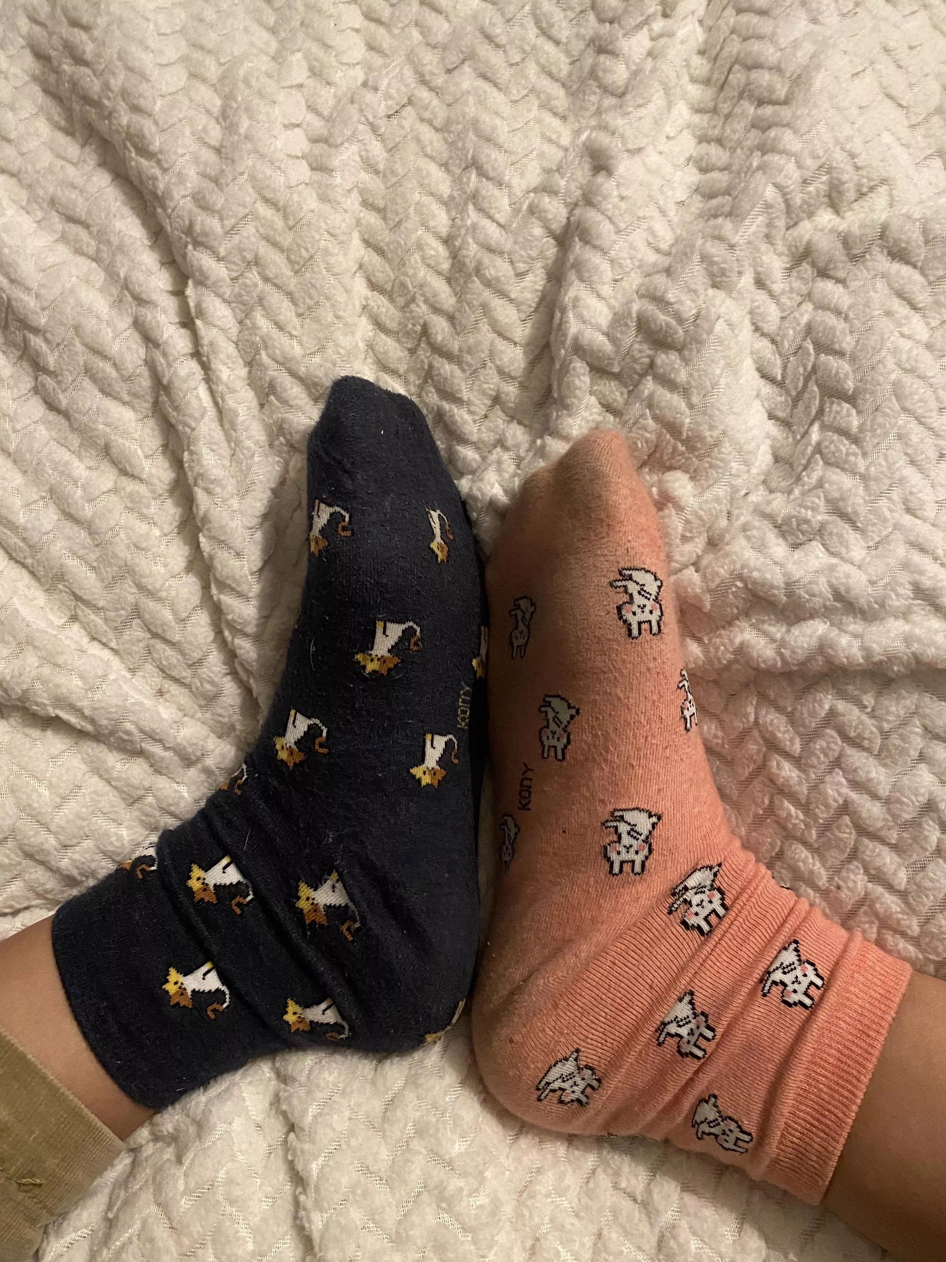 Canâ€™t find any matching socks :/ anyone wanna help posted by masterlexmistressava