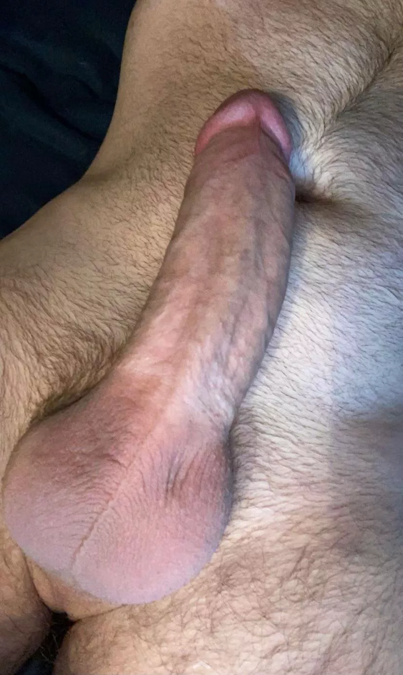 Can’t sleep. Have a dick pic. posted by JohnOatesKissedMyDad