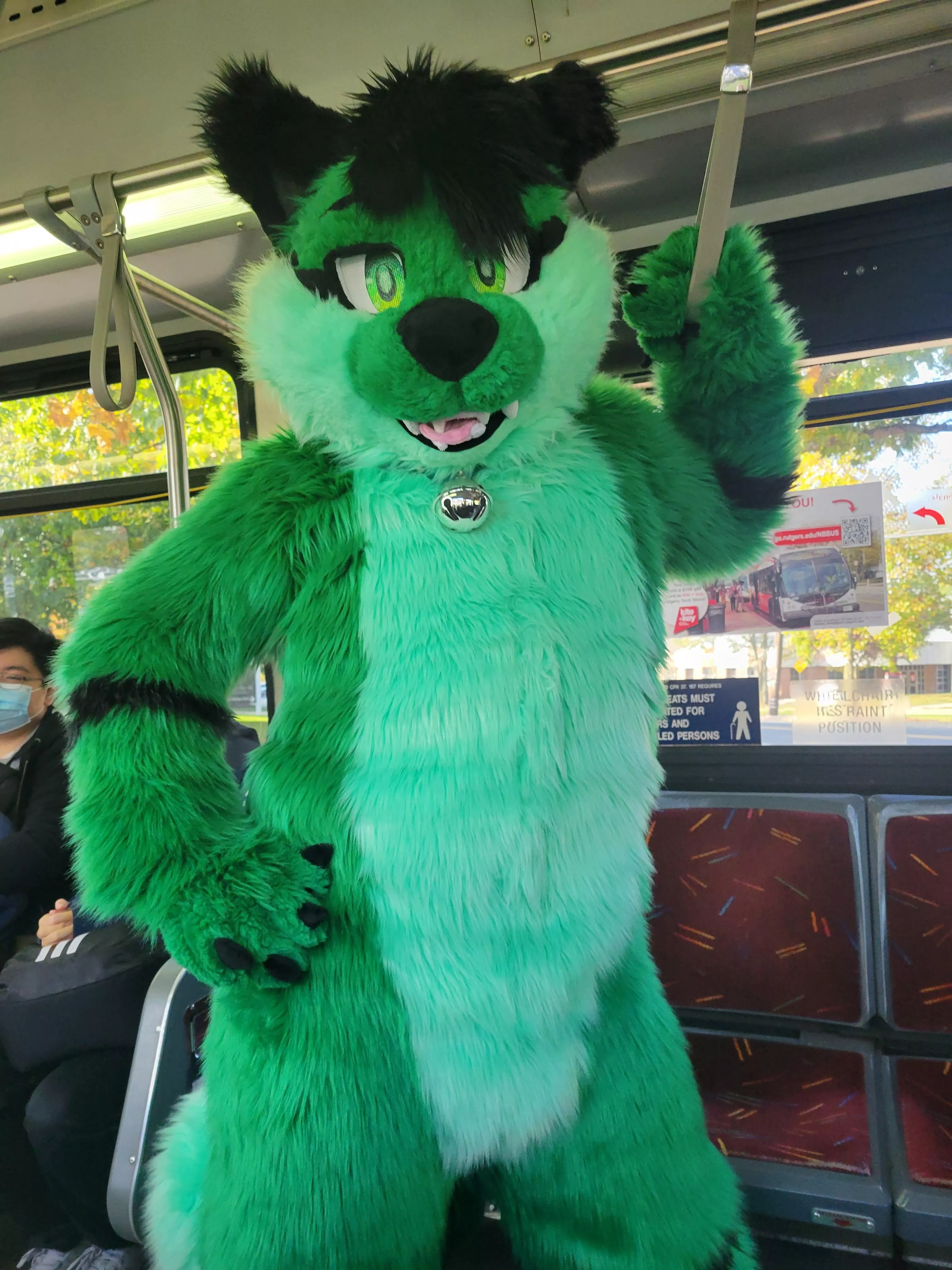 Cat on the Bus! Where he goin? posted by Soren-Sky