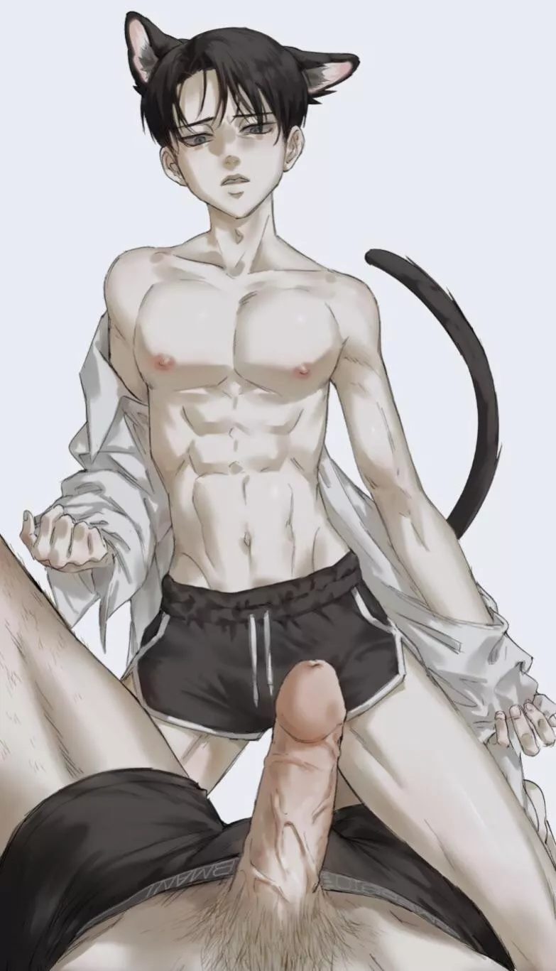 Catboy Levi [Attack on Titan] posted by OutofContext1138