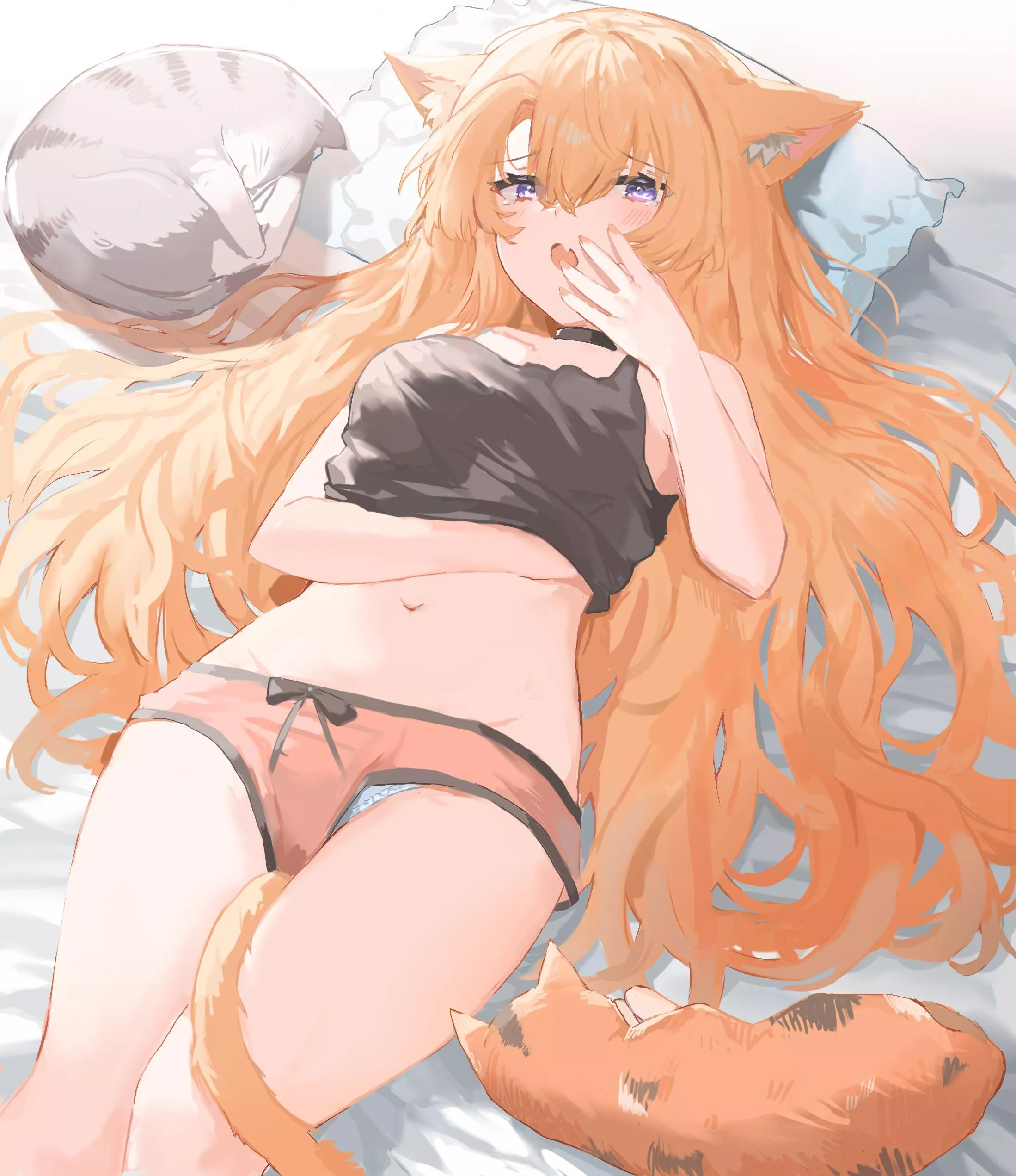 Cats and Panties [Original] posted by FFDP-Neko