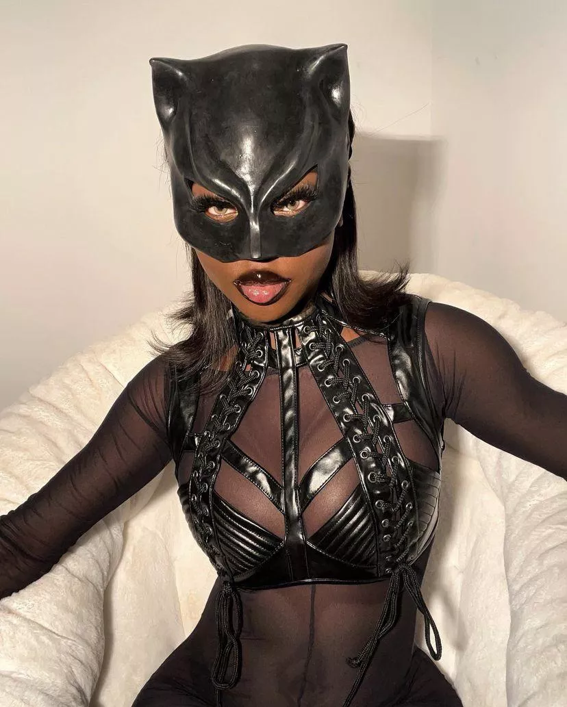 Catwoman posted by Thrall-Lasair