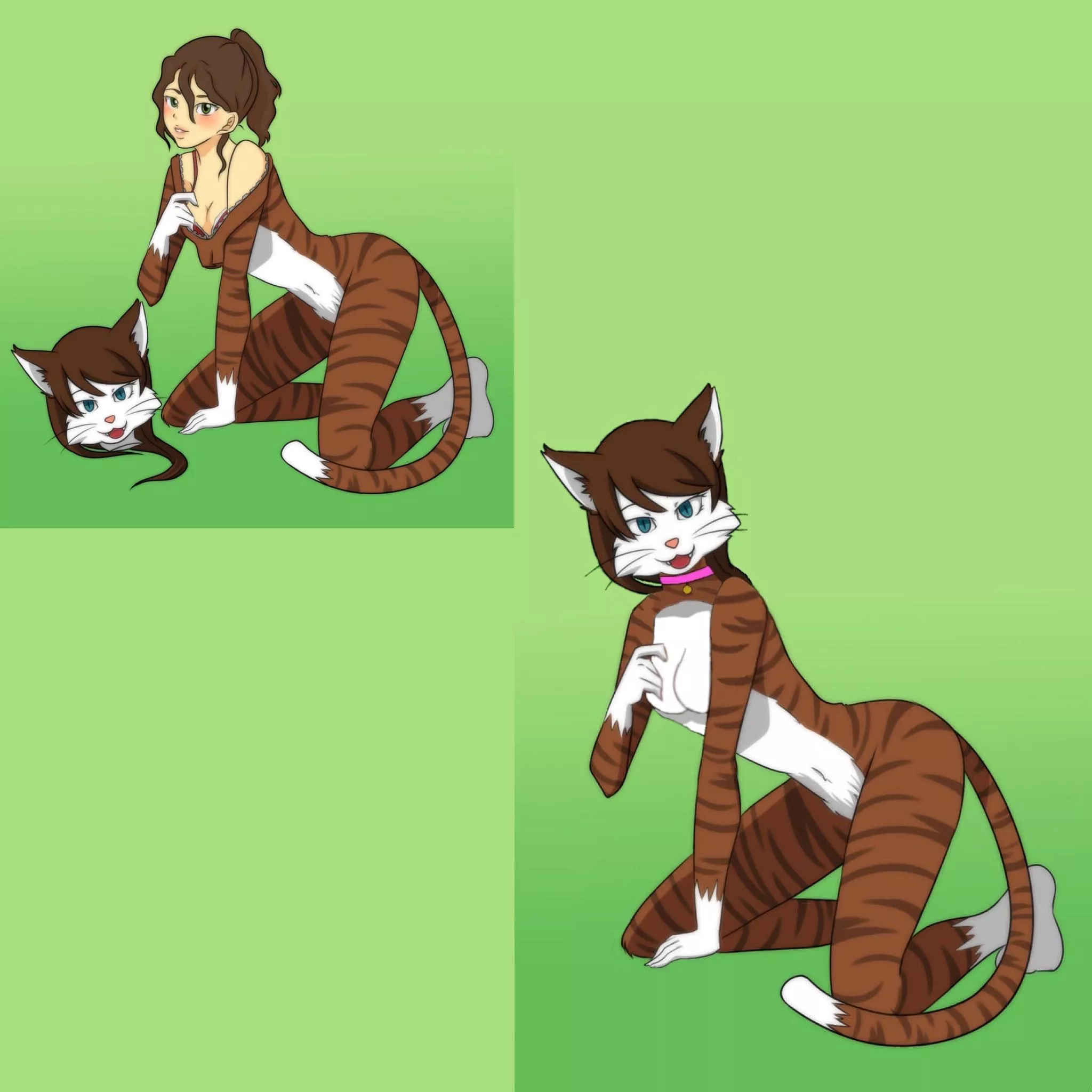 Caught kitty (F-Human -> F-Anthro Cat, before and after) original (left) by Bobstickles; right image retouched by me posted by ZJ59