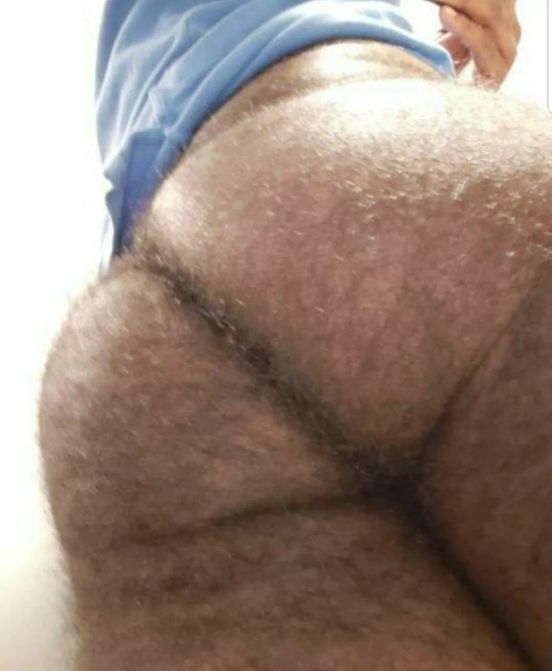 Cheeks posted by hairydlfreak36