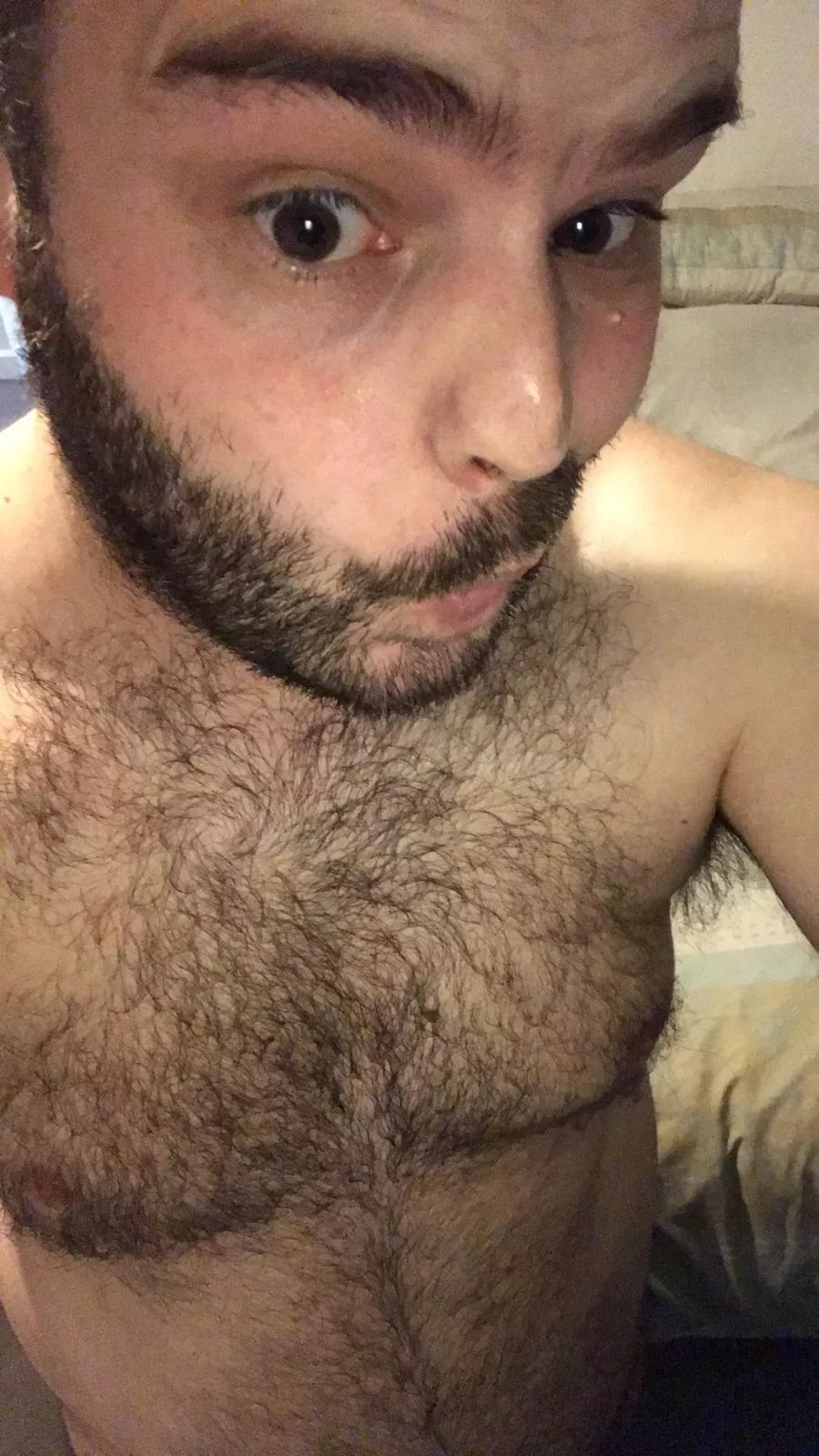 Chest and face hair posted by Objective_Metal_3146