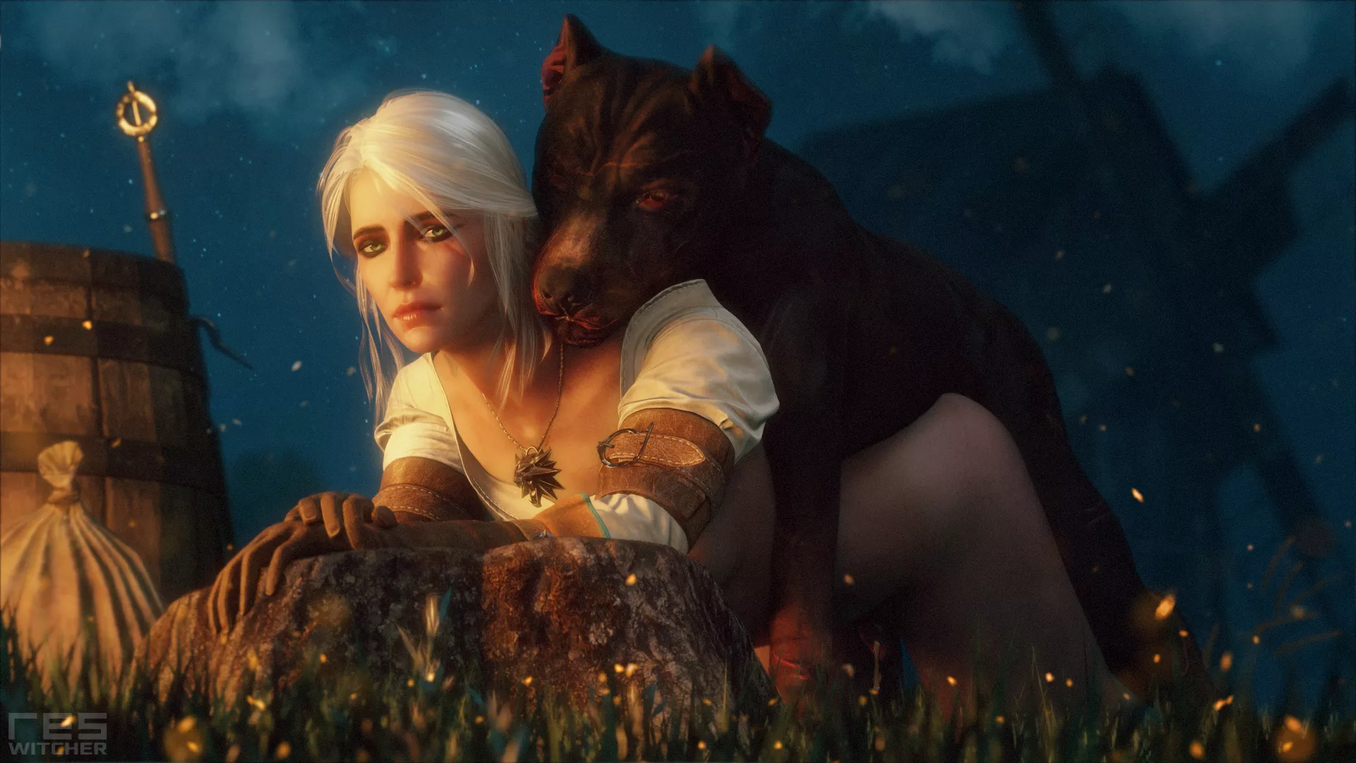 Ciri felt lonely [Witcher] (ResWitcher) posted by celebsadmirer