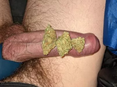 Cock and Canabis posted by 420Bearded506